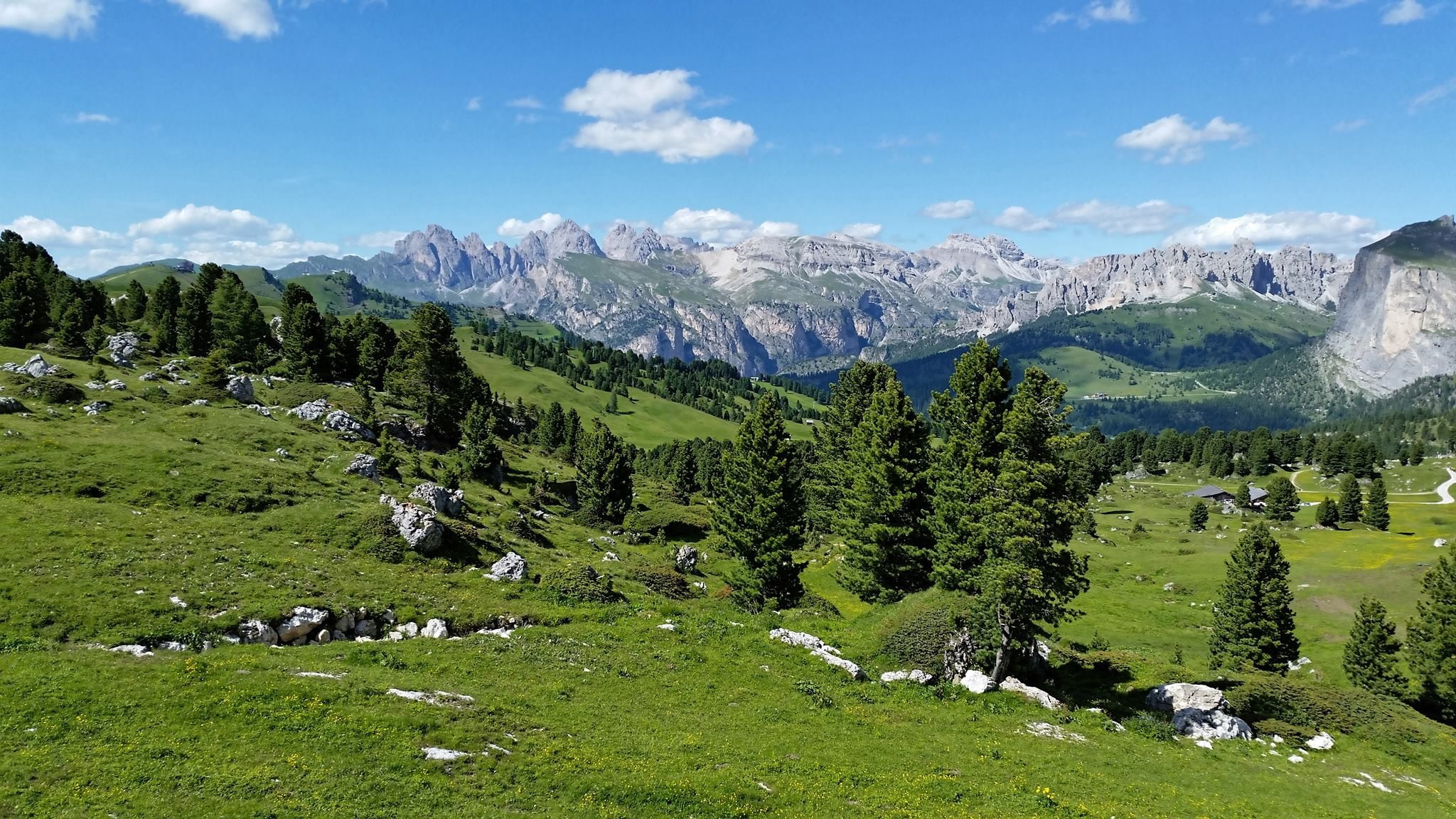 outdoors, group of animals, mountain, tree, sky, plant, green, grass, tranquil scene, green color, mountains, tranquility, Dolomites (mountains), mammal, HD Wallpaper