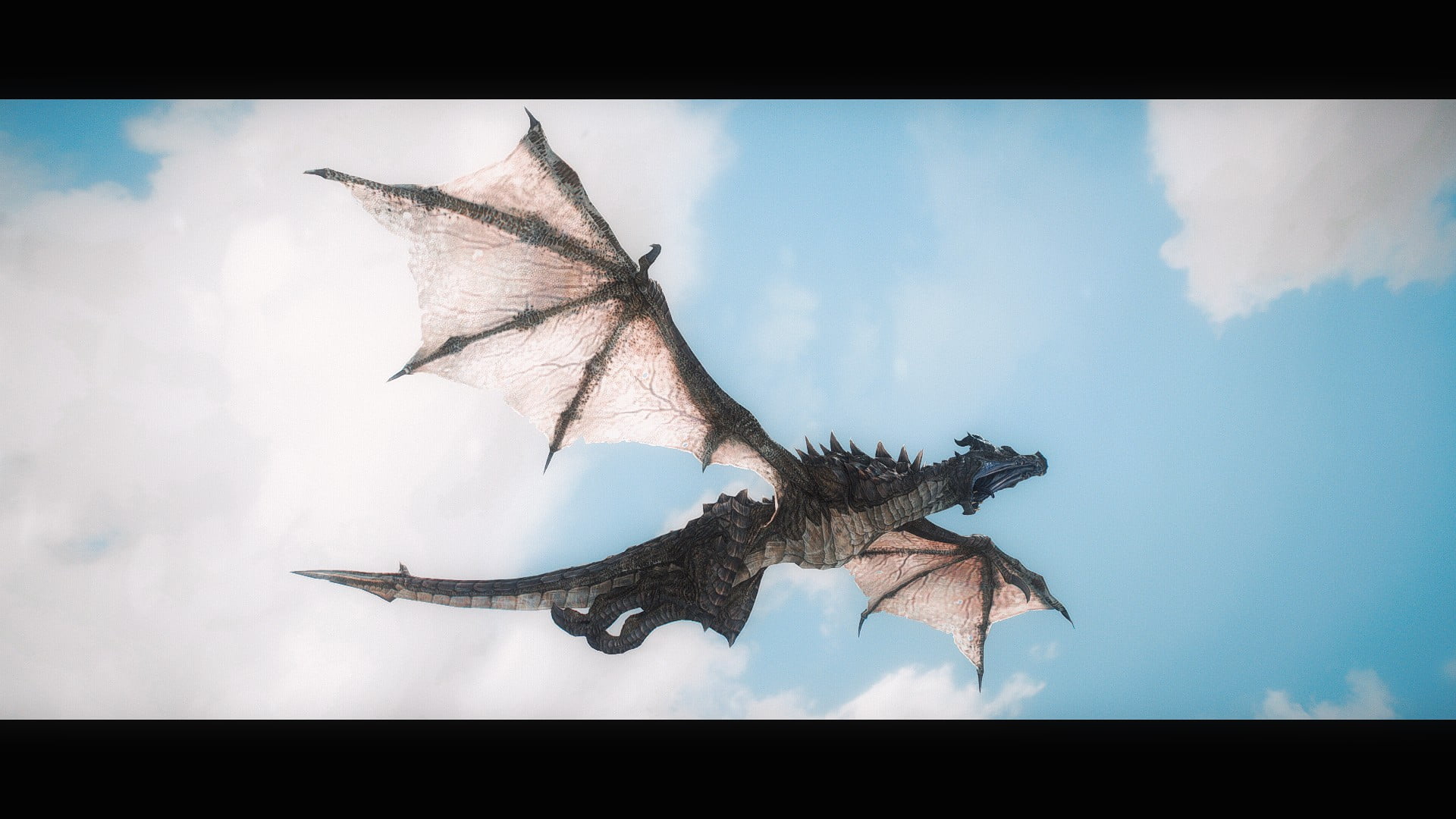 animal, leaf, spread wings, plant part, dragon, food, black, outdoors, brown, animal themes, low angle view, necklace, video games, fish, food and drink, HD Wallpaper