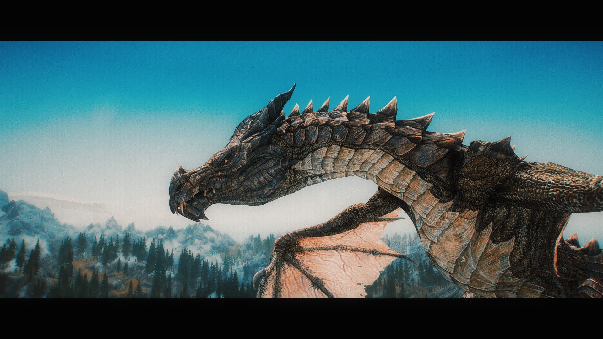 auto post production filter, The Elder Scrolls V: Skyrim, clear sky, plant, representation, architecture, dragon, statue, Wyvern, day, sky, video games, HD Wallpaper