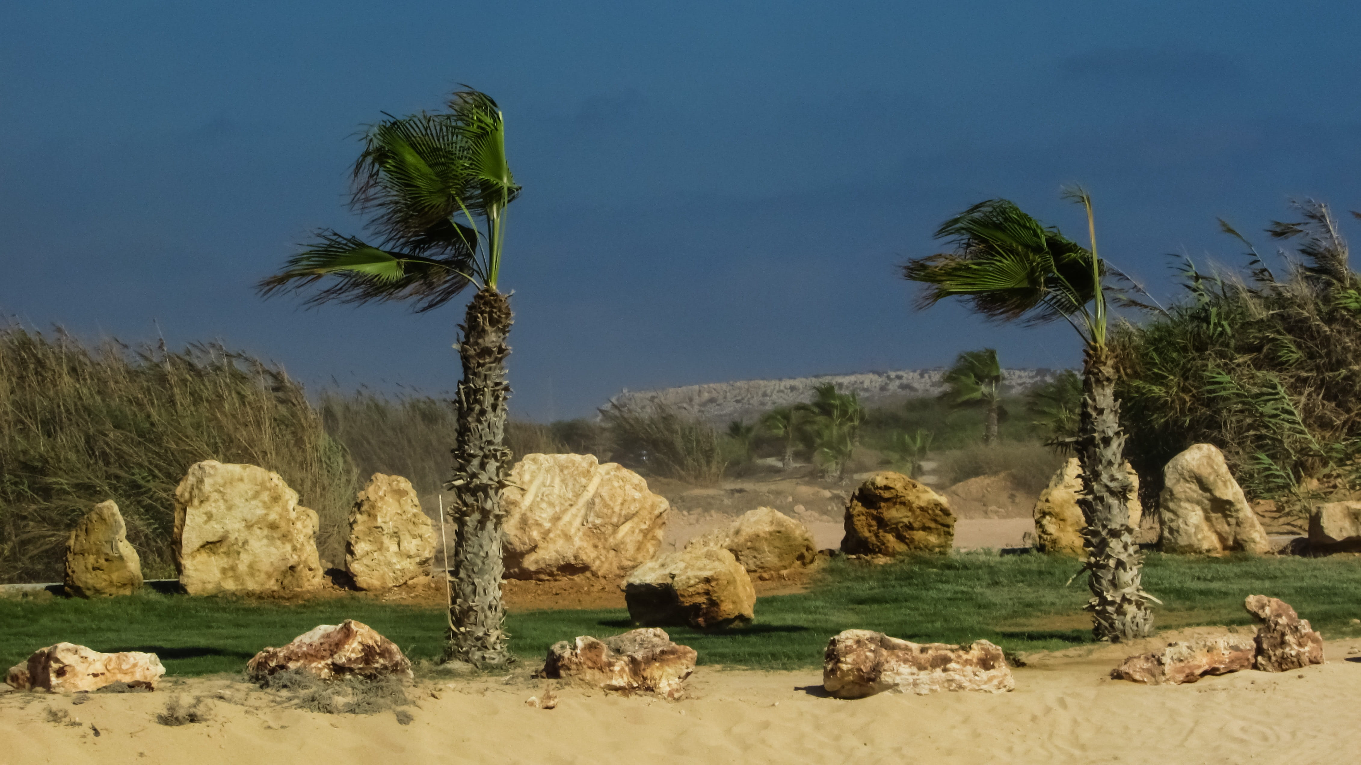 beauty in nature, animal wildlife, Windy, rock, tranquility, cyprus, Weather, sky, Wind, day, Air, rock - object, plant, outdoors, animals in the wild, HD Wallpaper