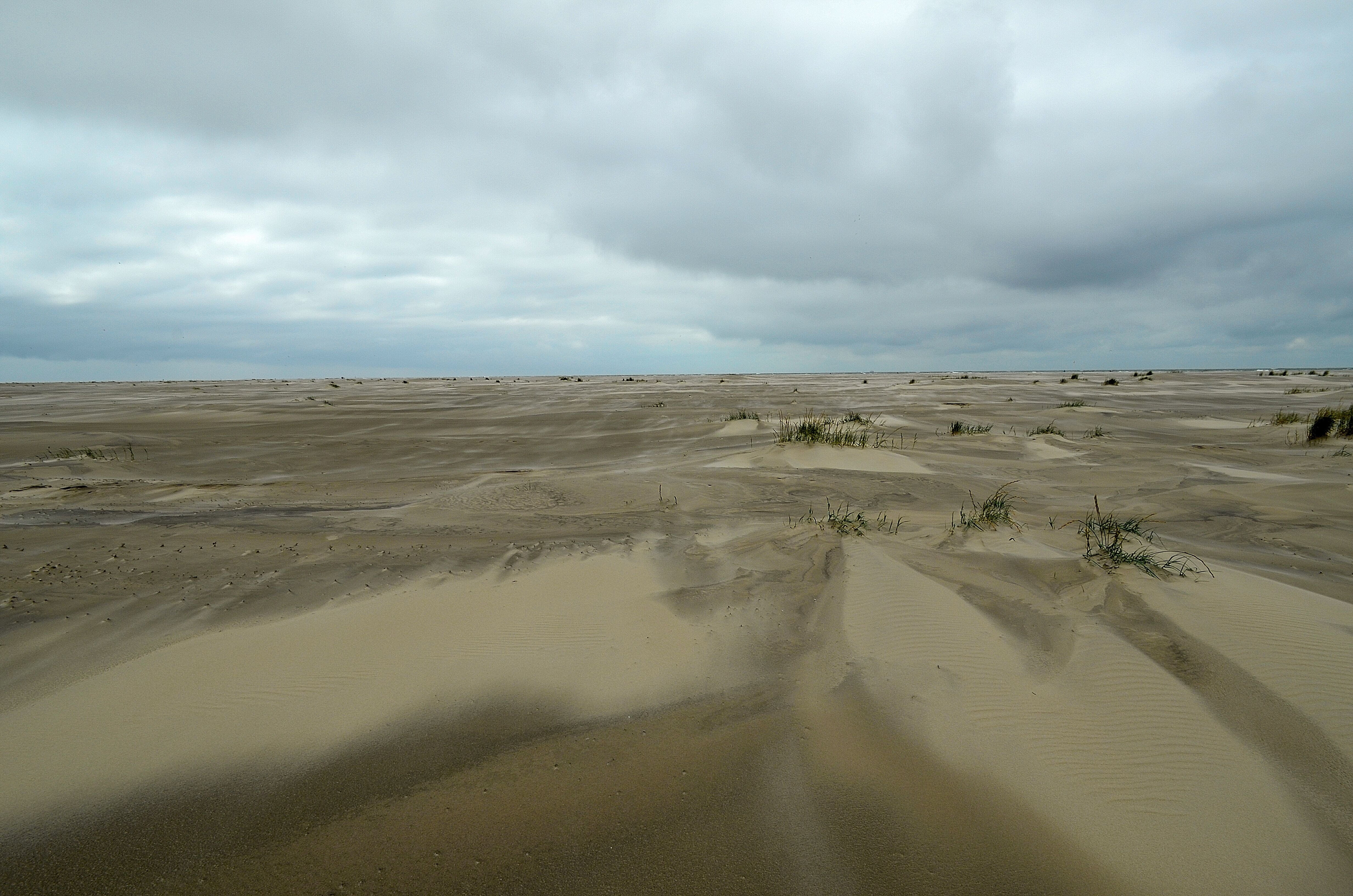 outdoors, nature, water, day, Mood, wind, storm, dramatic sky, scenics - nature, coast, arid climate, environment, sand, horizon, vision, Beach, Atmosphere, HD Wallpaper