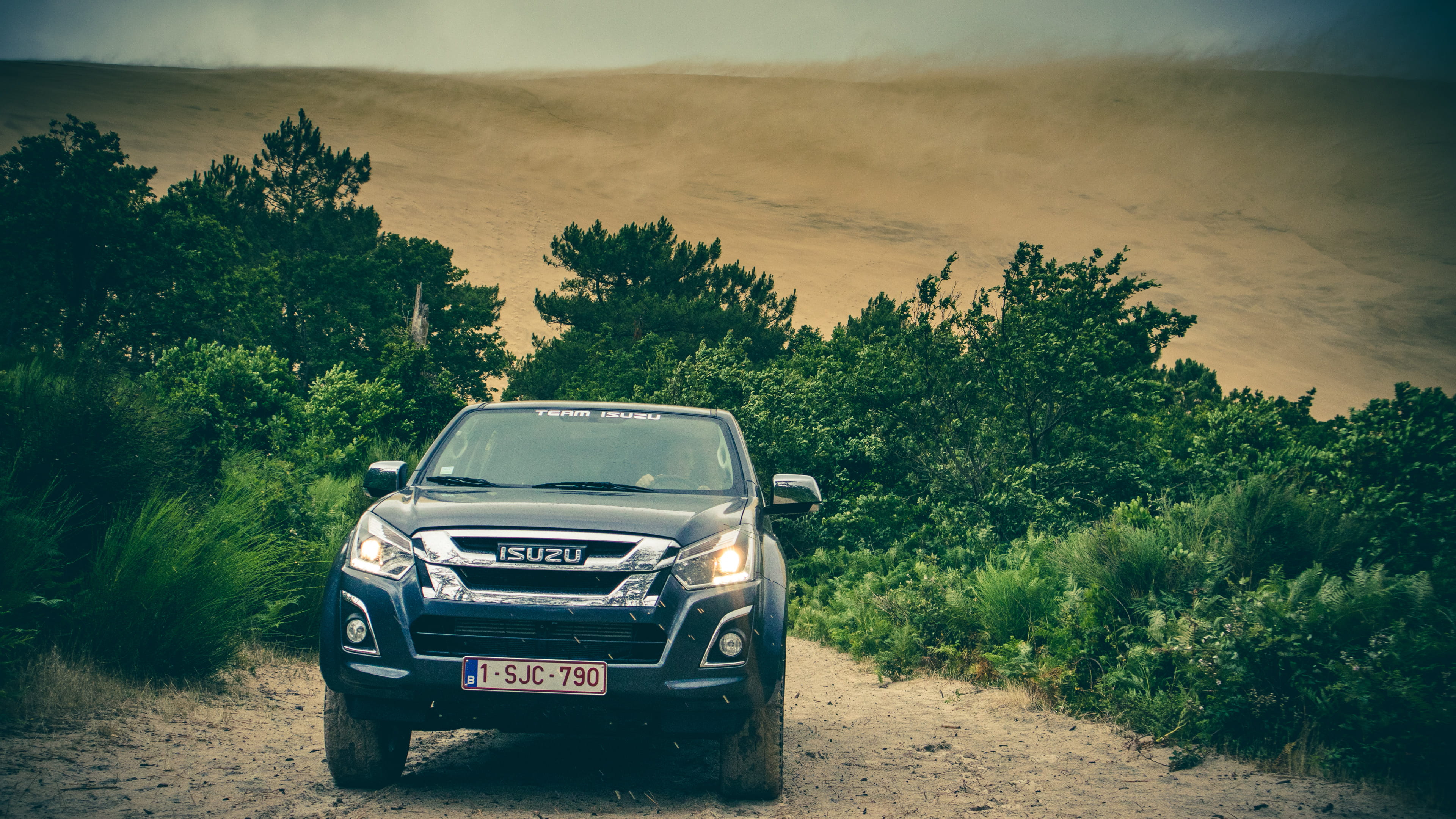 sky, tree, dune of pilat, transportation, outdoors, sunlight, no people, growth, sandstorm, field, offroad, motor vehicle, pickup, road, france, dirt, dirt road, HD Wallpaper