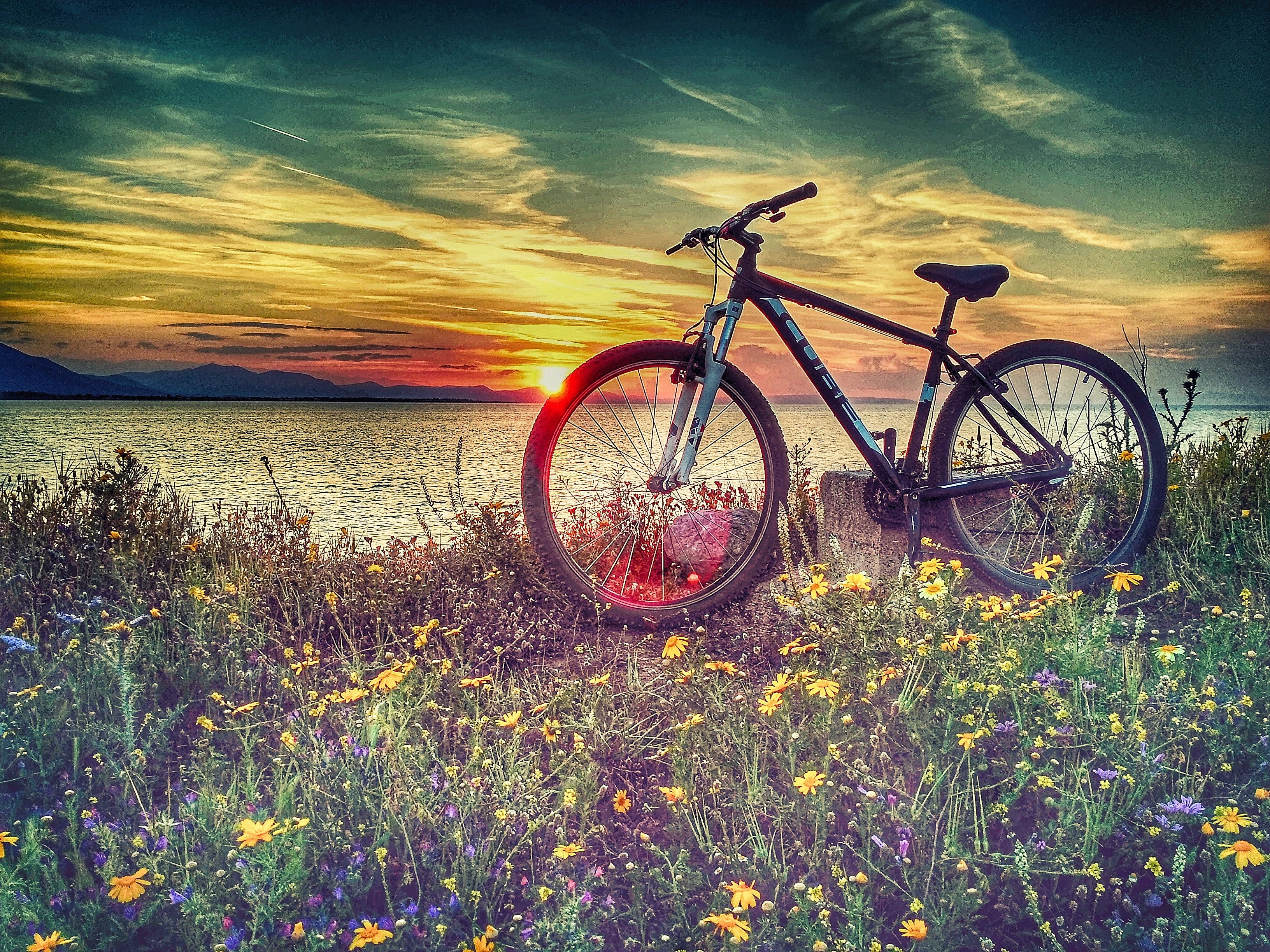 beside, chalkida, 2K, cloudscape, transportation, grass, cubebikes, body, beauty in nature, no people, bike, black, bicycle, mountain bike, sunset, nature, HD Wallpaper