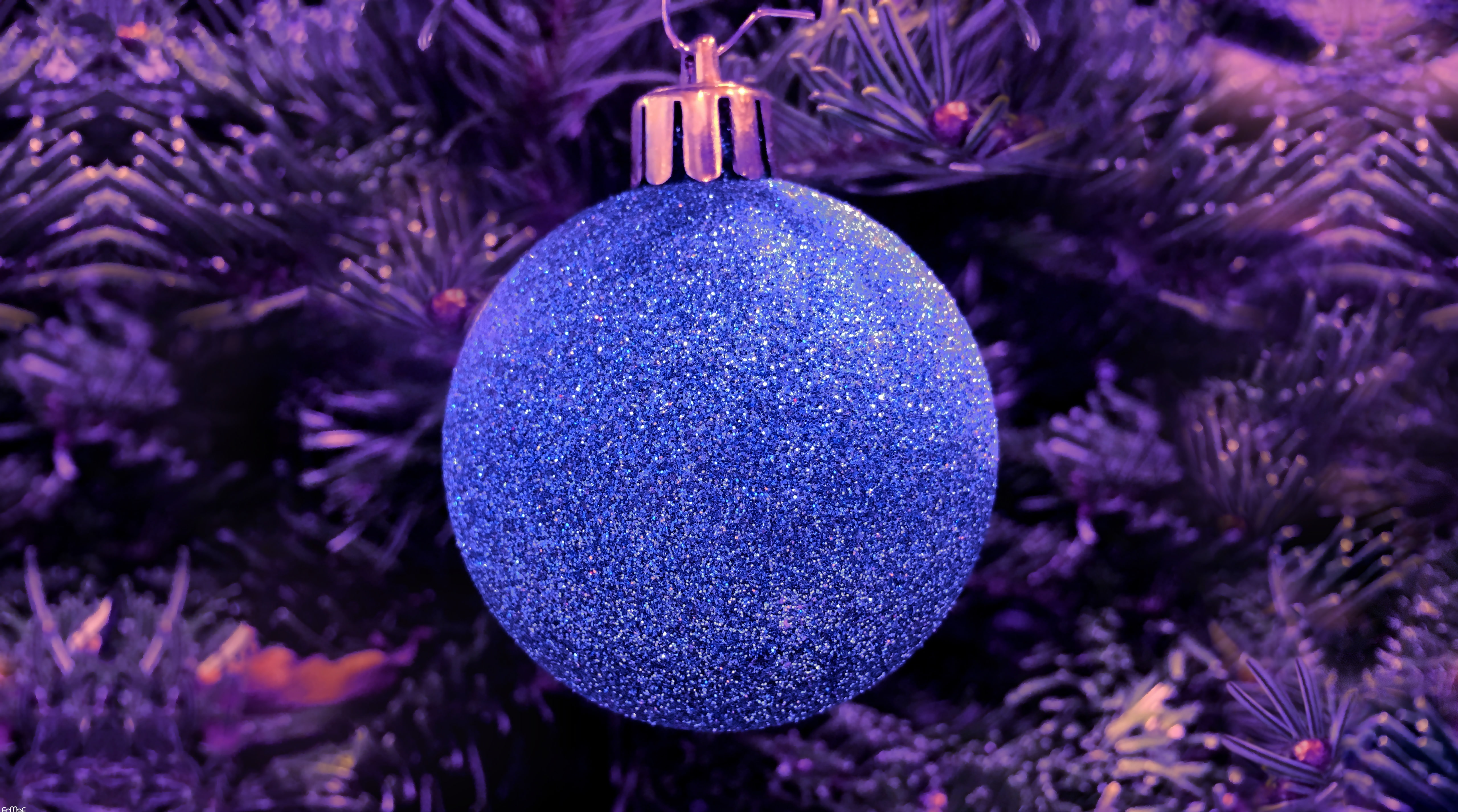Holidays, purple, Christmas, 5K, k, fomef, HD Wallpaper