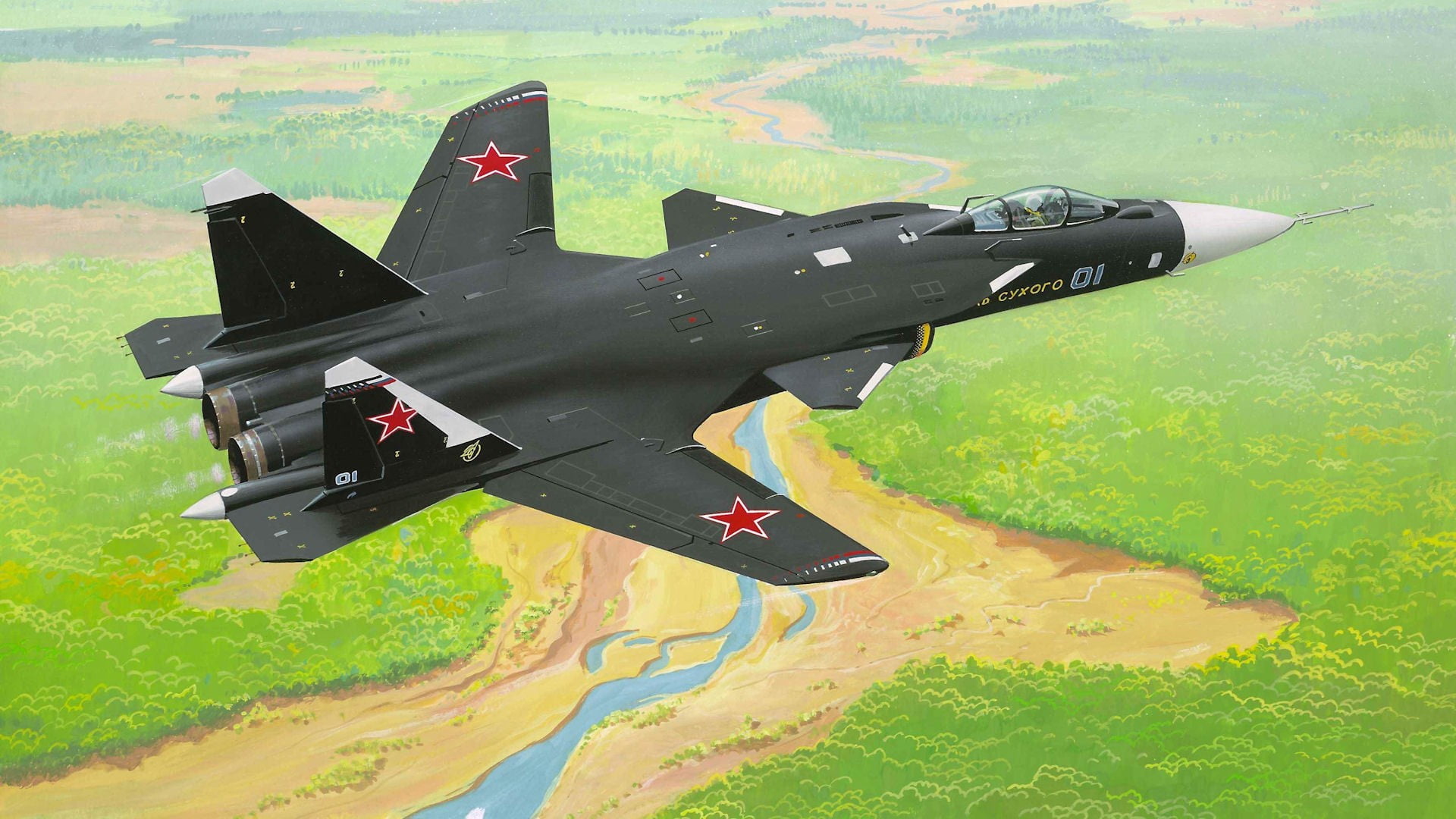 fighter, military airplane, day, transportation, field, airplane, nature, air force, green, 1080P, military, government, aircraft, Sukhoi Su-47 Berkut, HD Wallpaper
