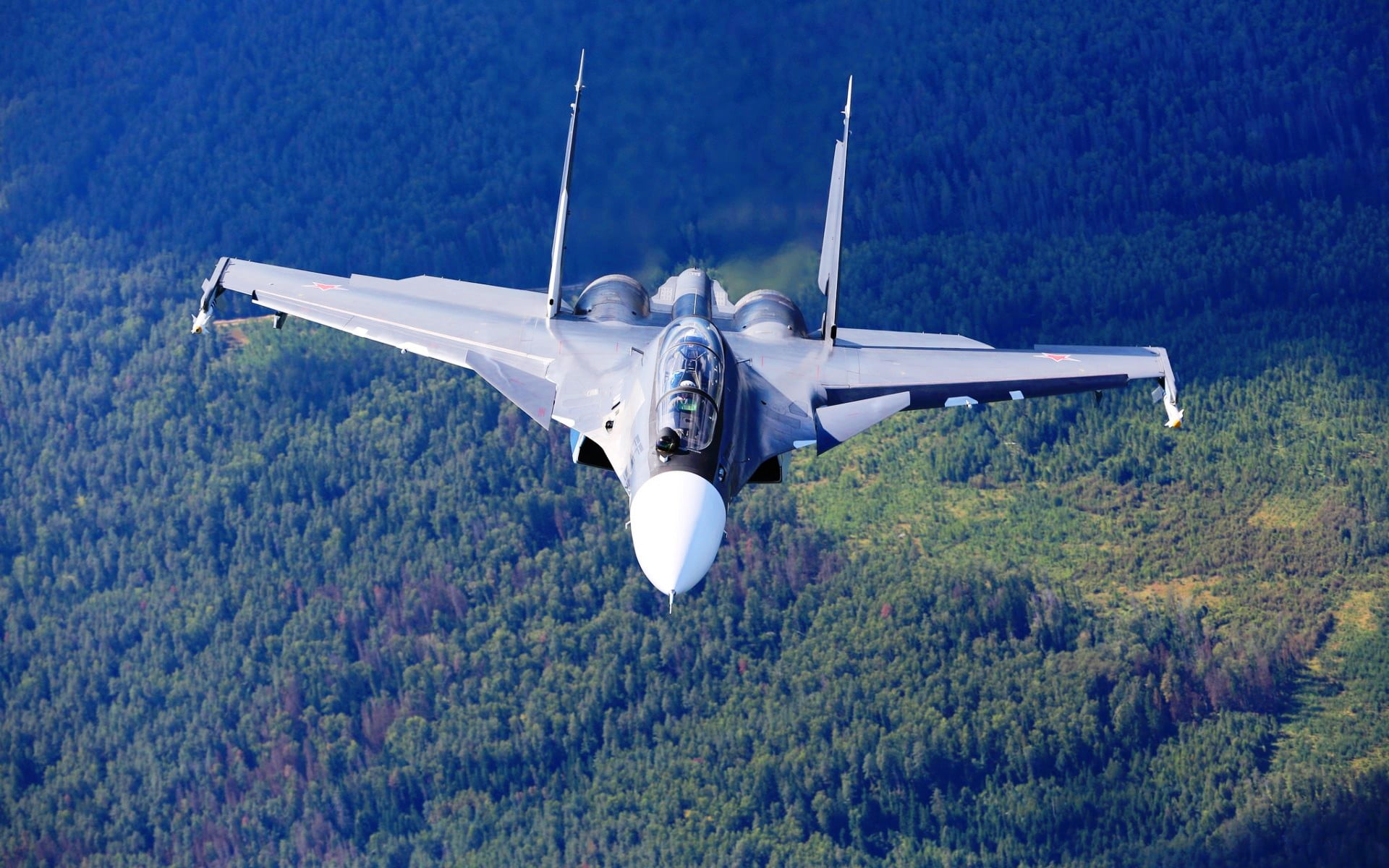 plane, Aircrafts / Planes, airplane, sukhoi, aircraft, jet, tree, mode of transportation, on the move, security, surveillance, transportation, day, air vehicle, HD Wallpaper