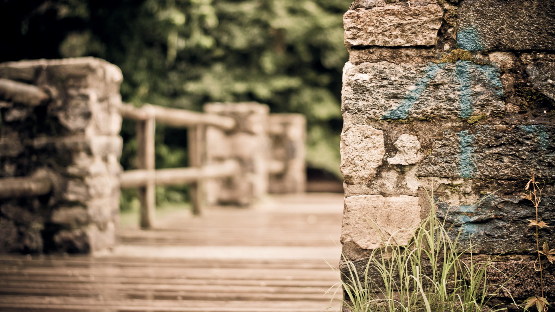 leafed, green, stone material, textured, architecture, ancient, art and craft, closeup, nature, bridge, history, weathered, day, built structure, close-up, HD Wallpaper