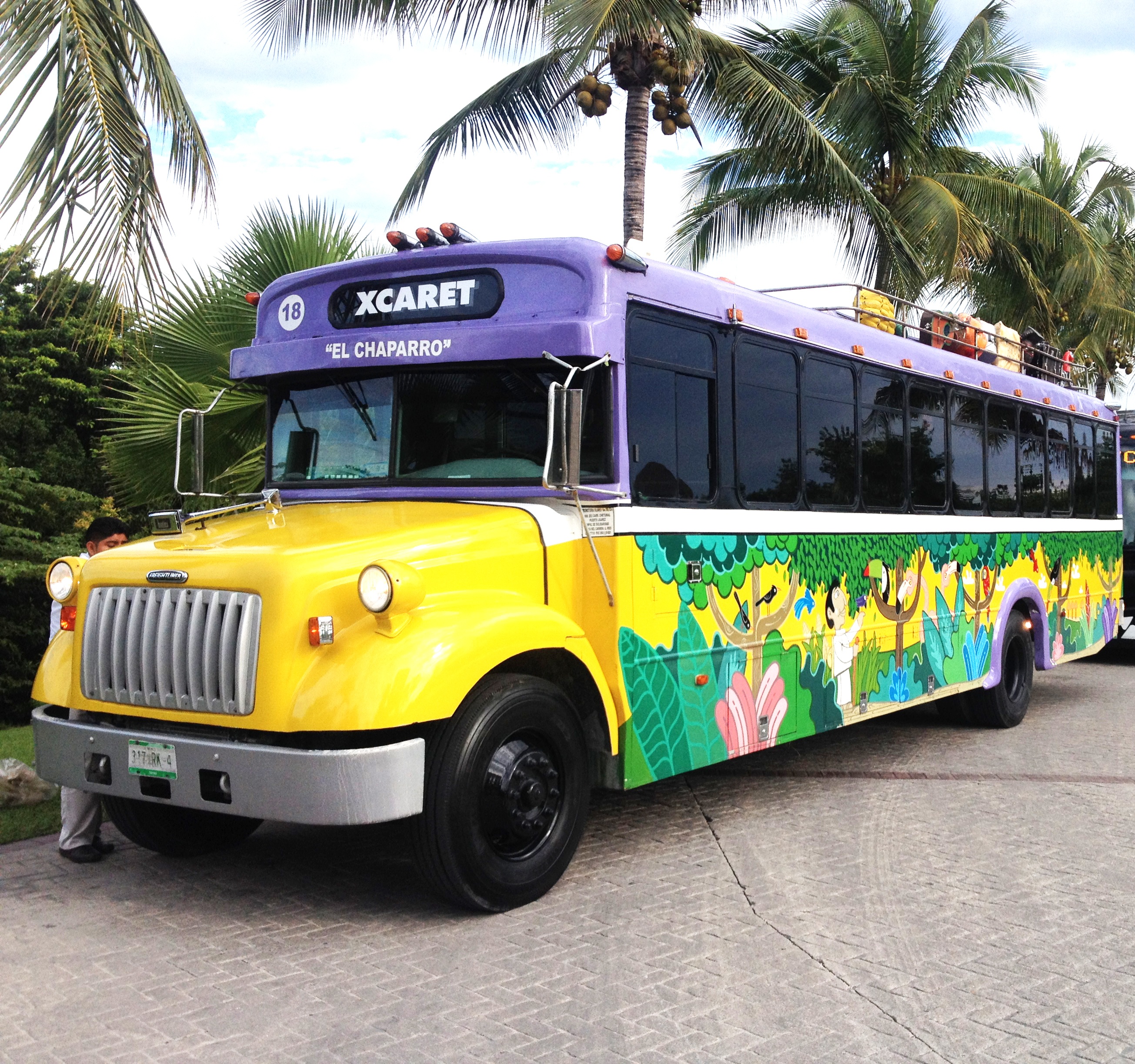 xcaret, mode of transportation, palm tree, street, tree, motor vehicle, city, plant, mexico, méxico, land vehicle, day, outdoors, architecture, cancun, HD Wallpaper