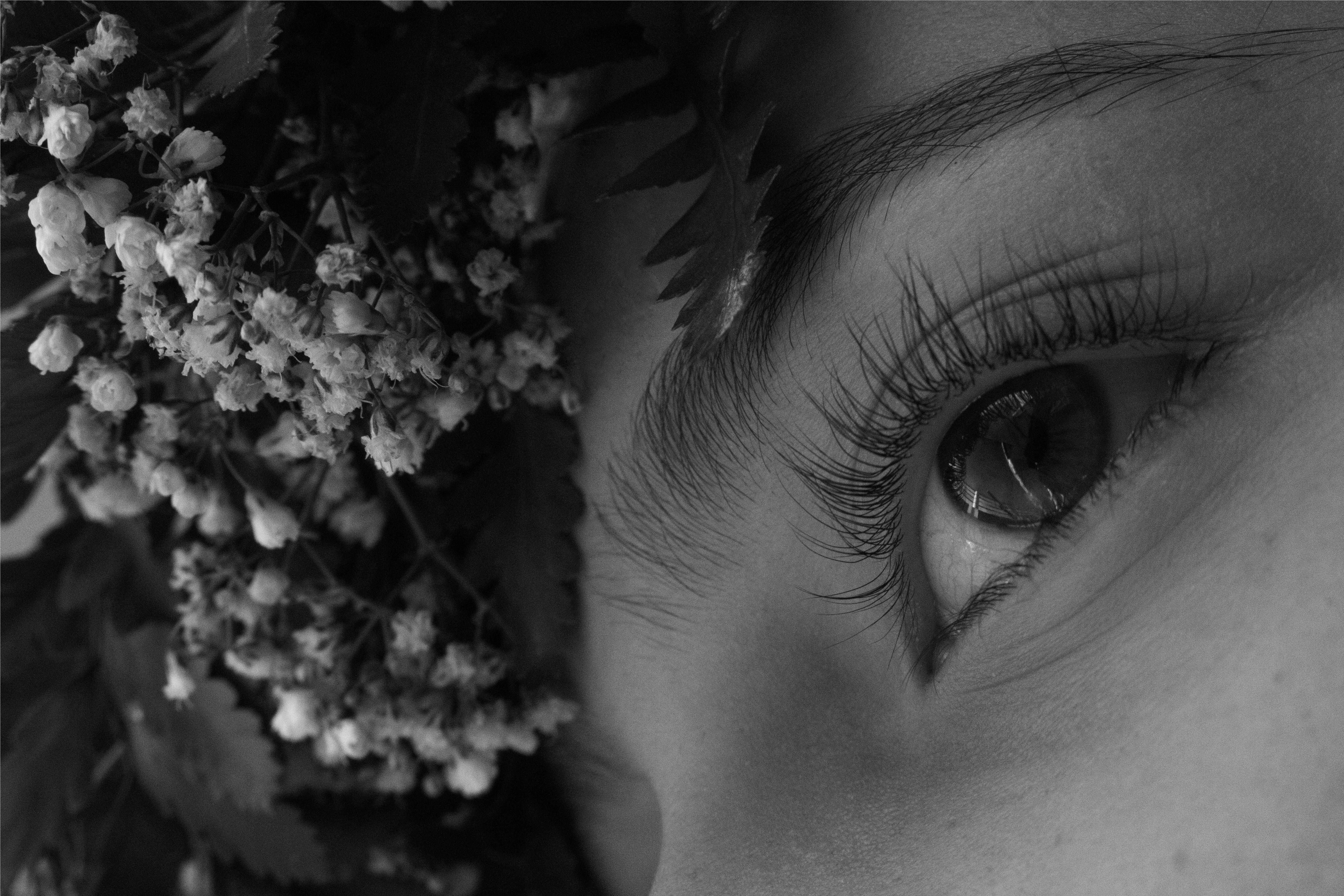 flower, innocence, childhood, human face, daisy, human, sensory perception, women, plant, eyebrow, daisies, iris - eye, contemplation, nature, flowering plant, HD Wallpaper