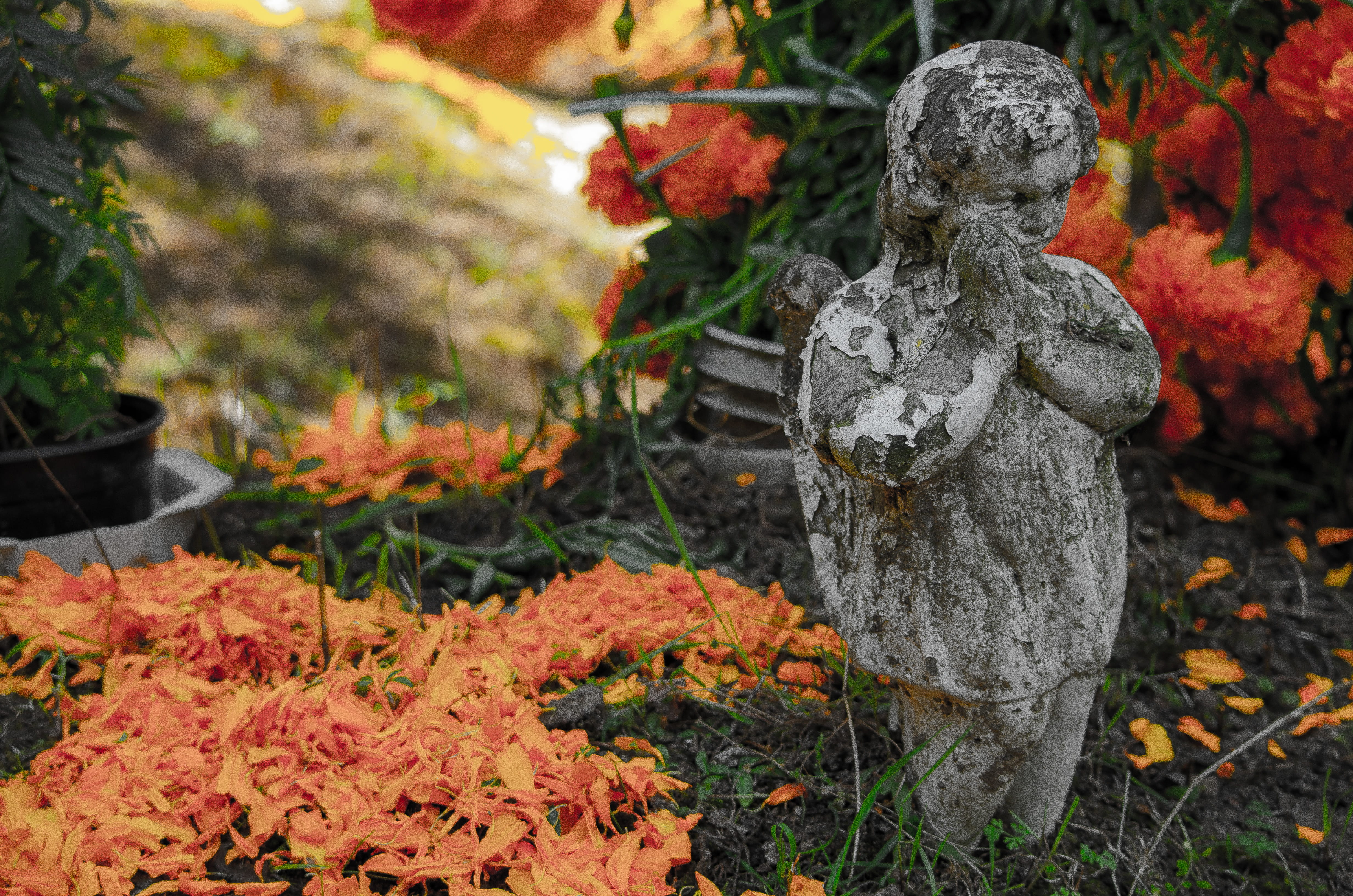 figurine, méxico, tombstone, leaf, boy, cdmx, tree trunk, statue, no people, craft, ground, mexico, day, maple leaf, representation, maple, flagstone, traditions, HD Wallpaper