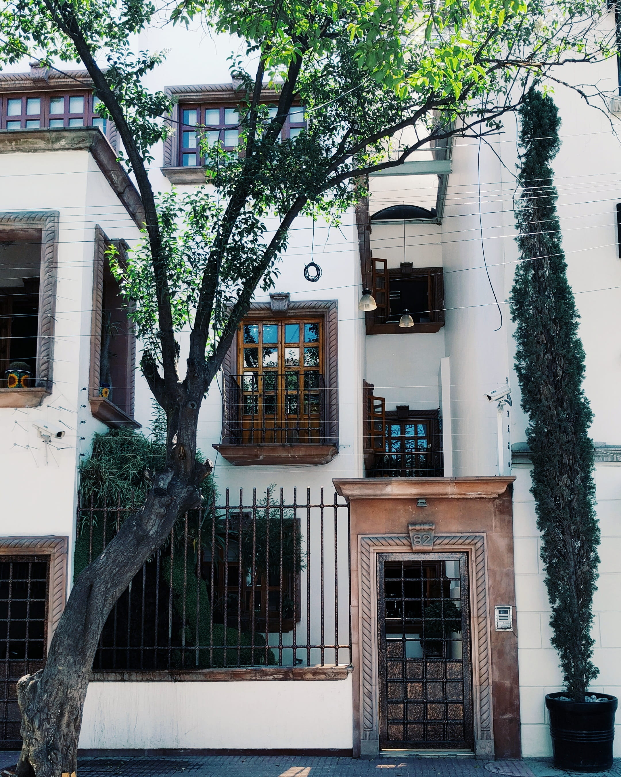 cdmx, tree, window, branch, building exterior, no people, apartment, nature, architecture, city, residential district, 2K, reflection, río ebro 84, day, Phone HD Wallpaper