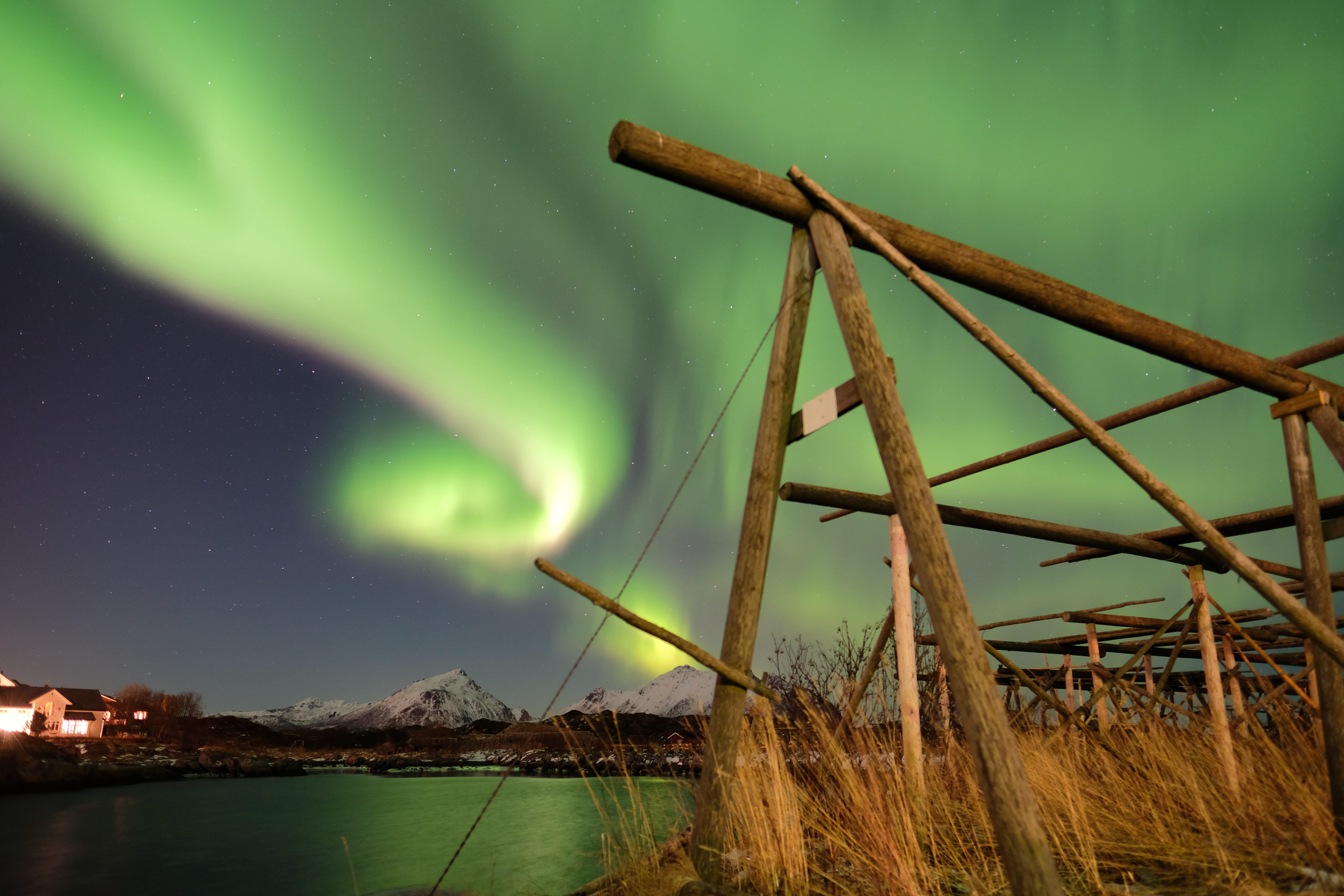 landscape, tranquil scene, night, wooden, insect, astronomy, sky, green skyline, non-urban scene, 5K, lofoten, idyllic, aurora boreali, norway, lake, no people, HD Wallpaper