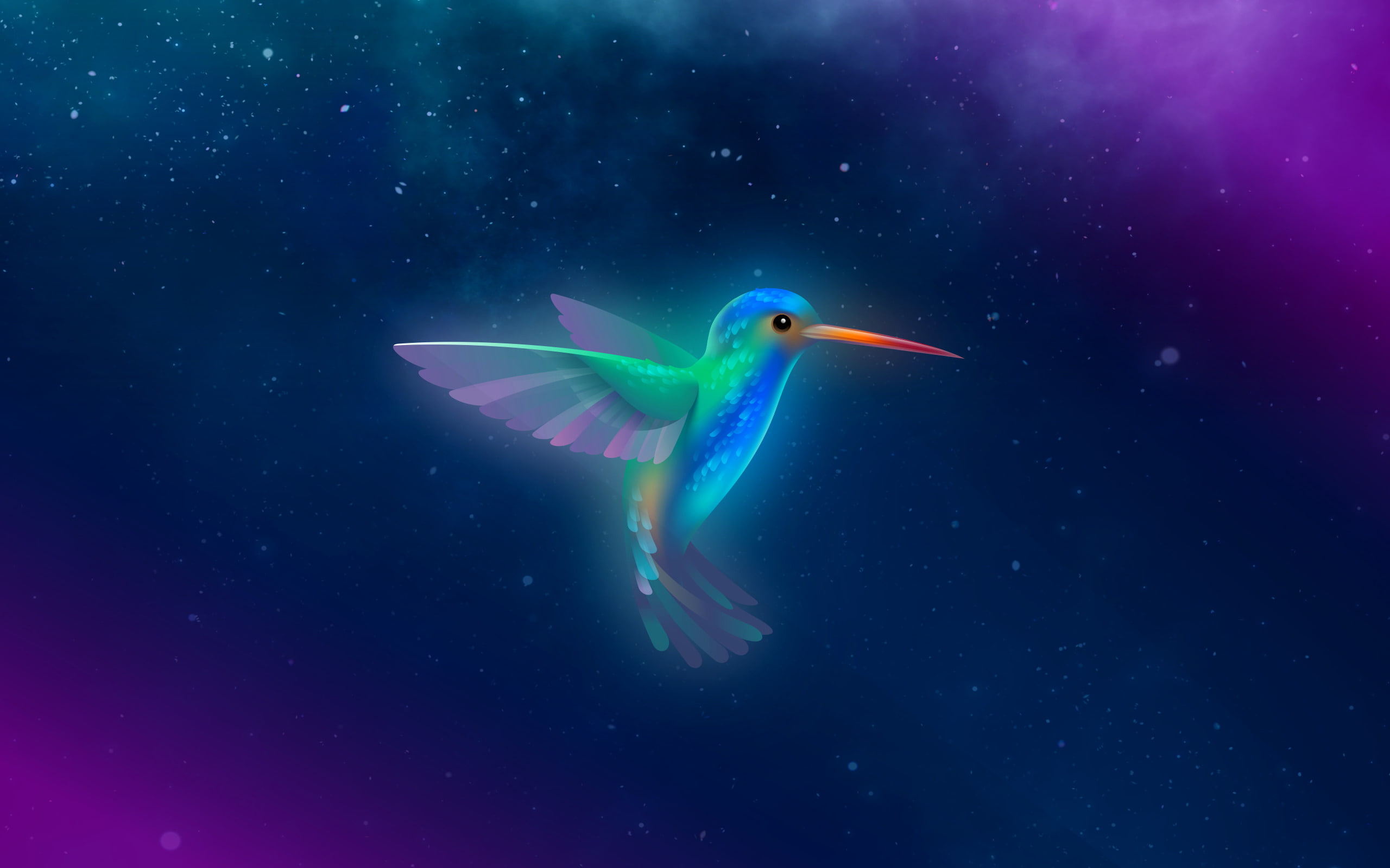 HD, Bird, Lubuntu, Starry sky, Blue, Purple, Stock, Bionic Beaver, 2K, HD Wallpaper