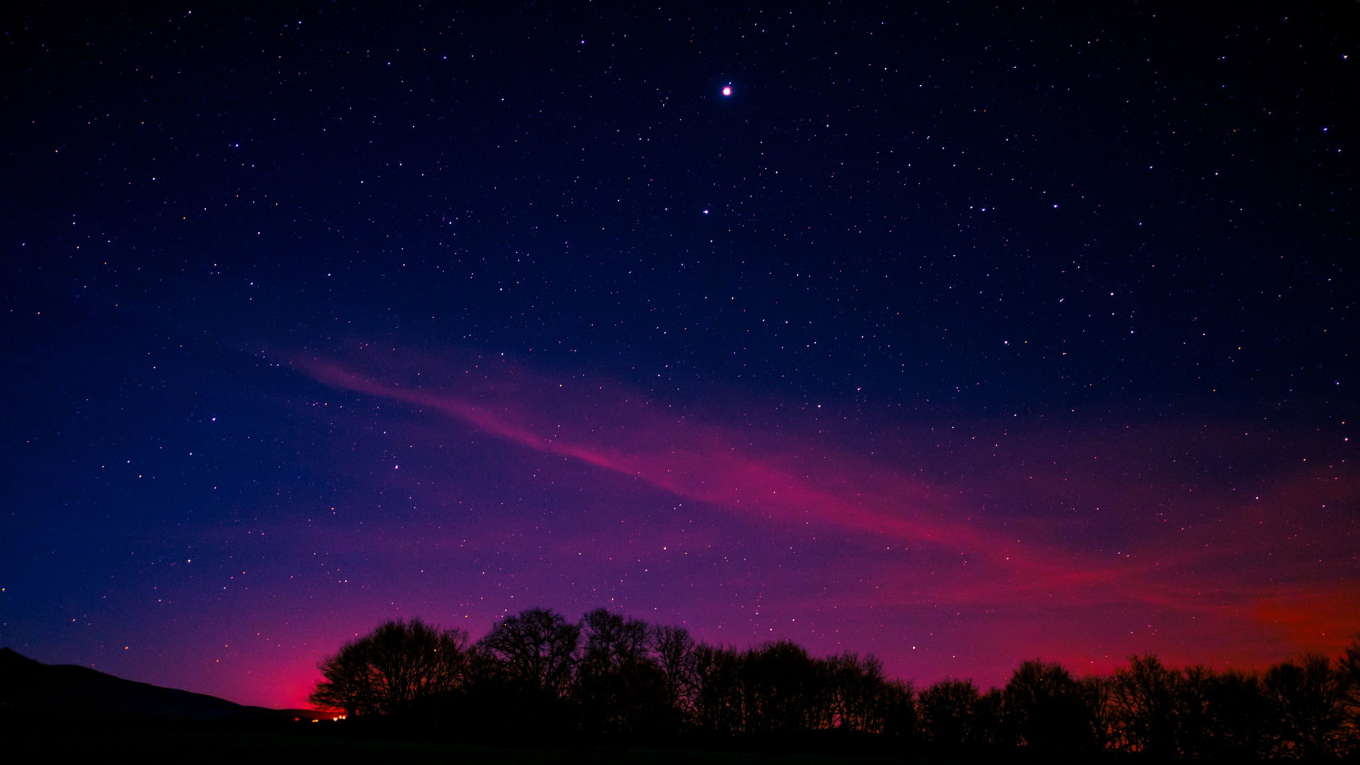 plant, beauty in nature, no people, silhouette, tranquility, tree, astronomy, space, 1080P, constellation, starry, pink, galaxy, low angle view, sky, star, HD Wallpaper