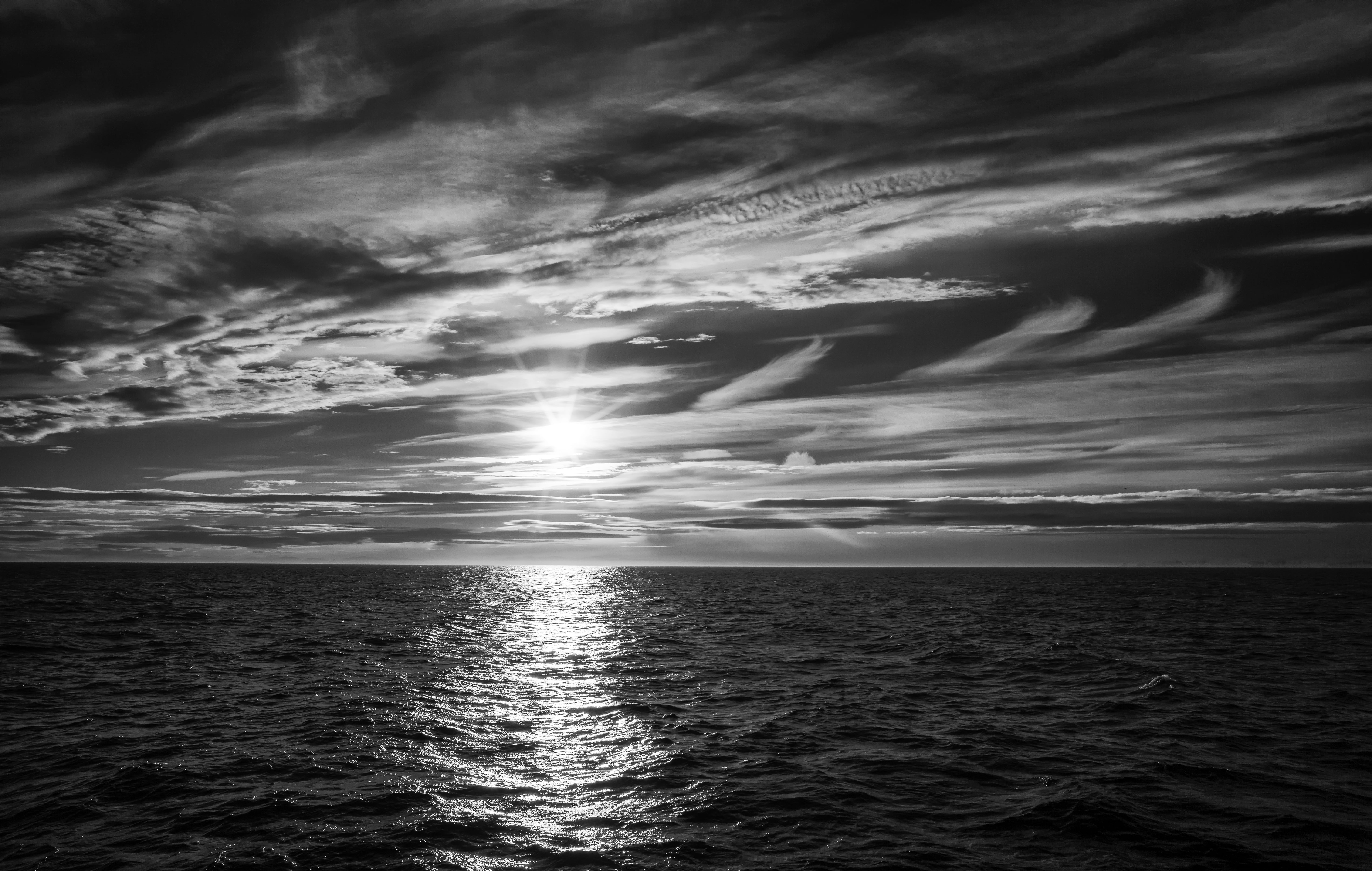 photography, cloudscape, sea, walrus, wildeye, reindeer, water, birds, Svalbard, cloud - Sky, icebergs, sunset, sky, leica, grayscale, 5K, ice, polaris, HD Wallpaper