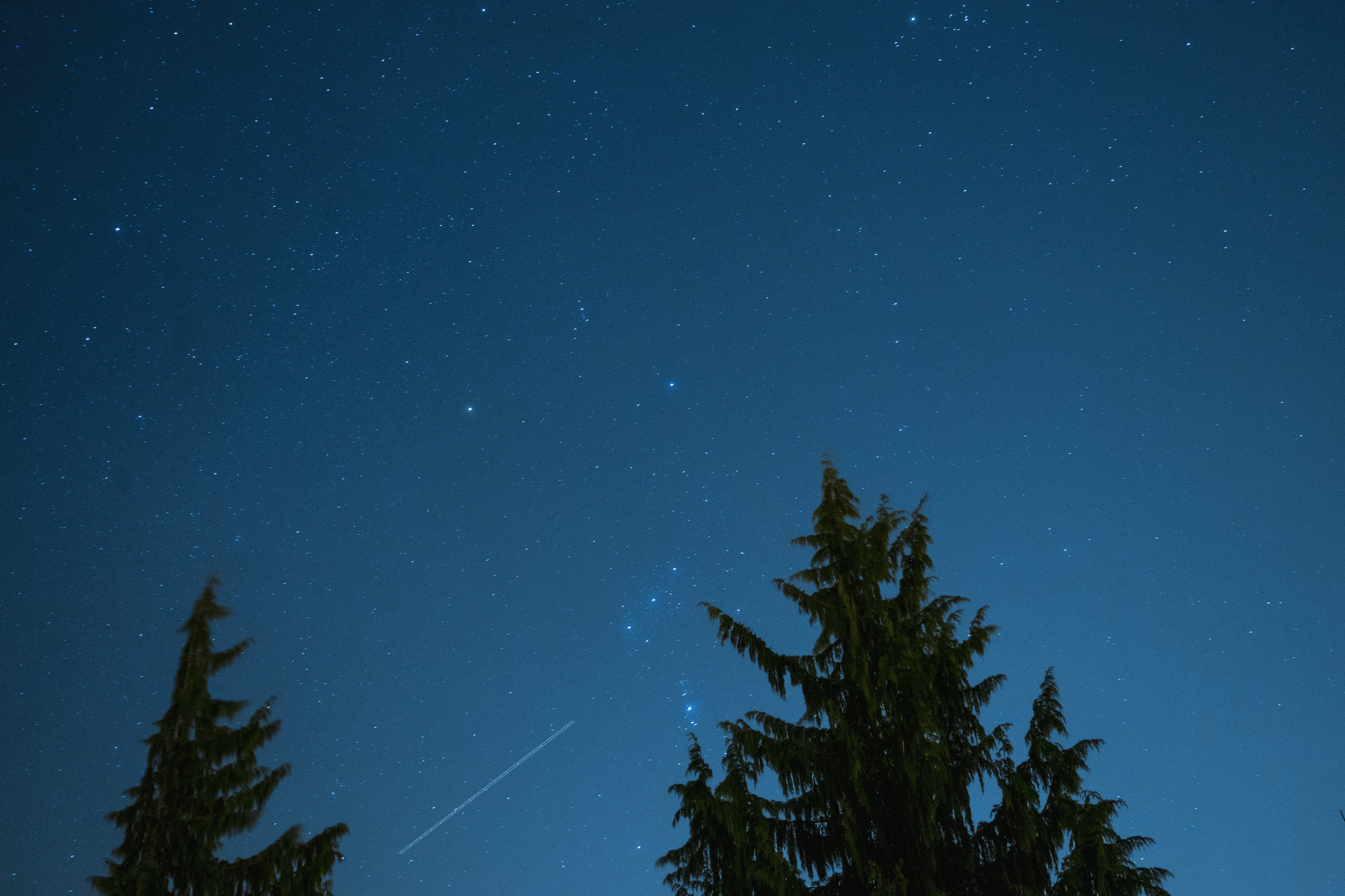 no people, starry, stars, beauty in nature, space and astronomy, 5K, space, infinity, astronomy, low angle view, science, tree, sky, nature, tranquil scene, HD Wallpaper