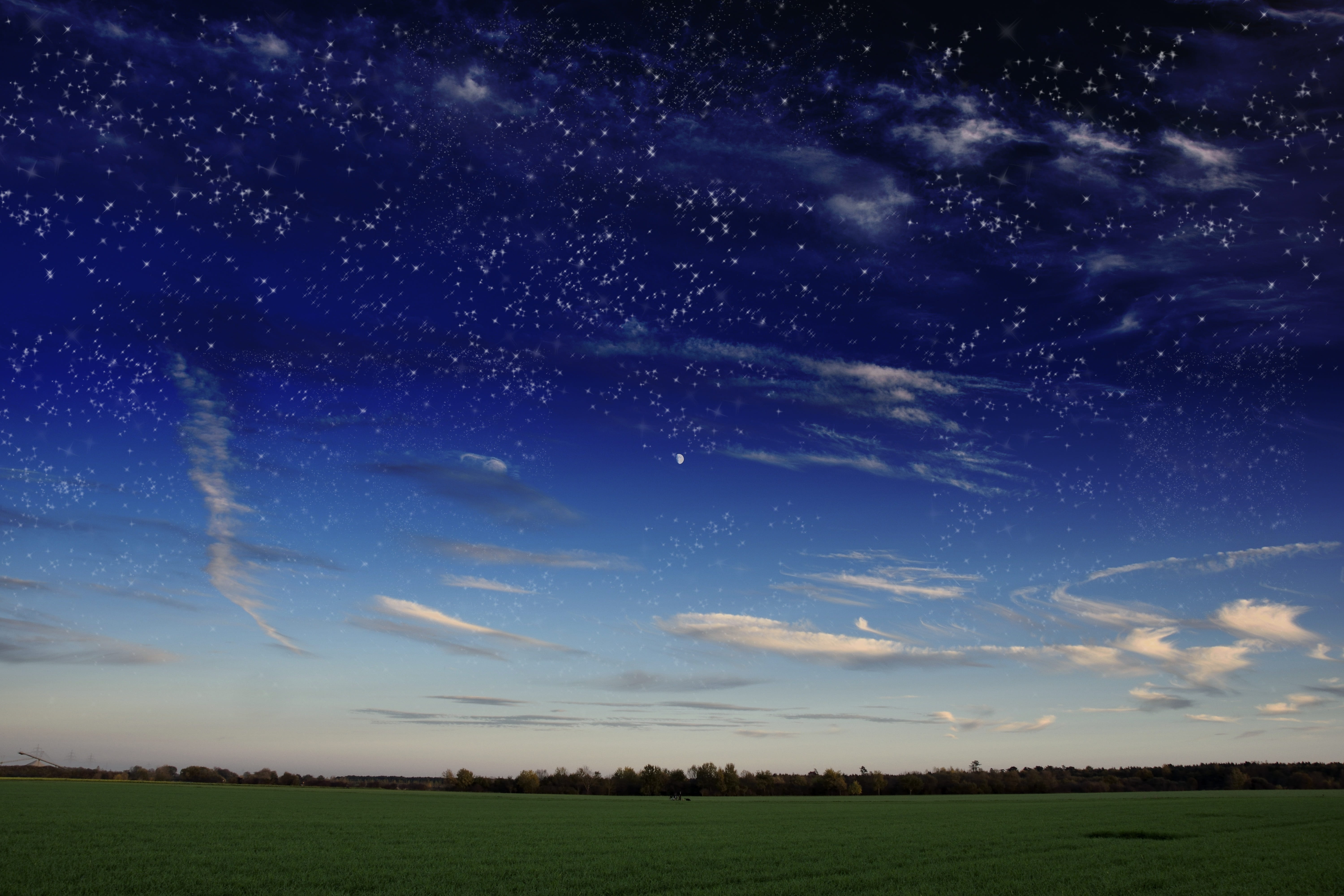 plant, sky, photo, green, field, outdoors, rural Scene, 5K, blue, time, no People, scenics, twilight, star - Space, milky way, star, meadow, scenics - nature, HD Wallpaper
