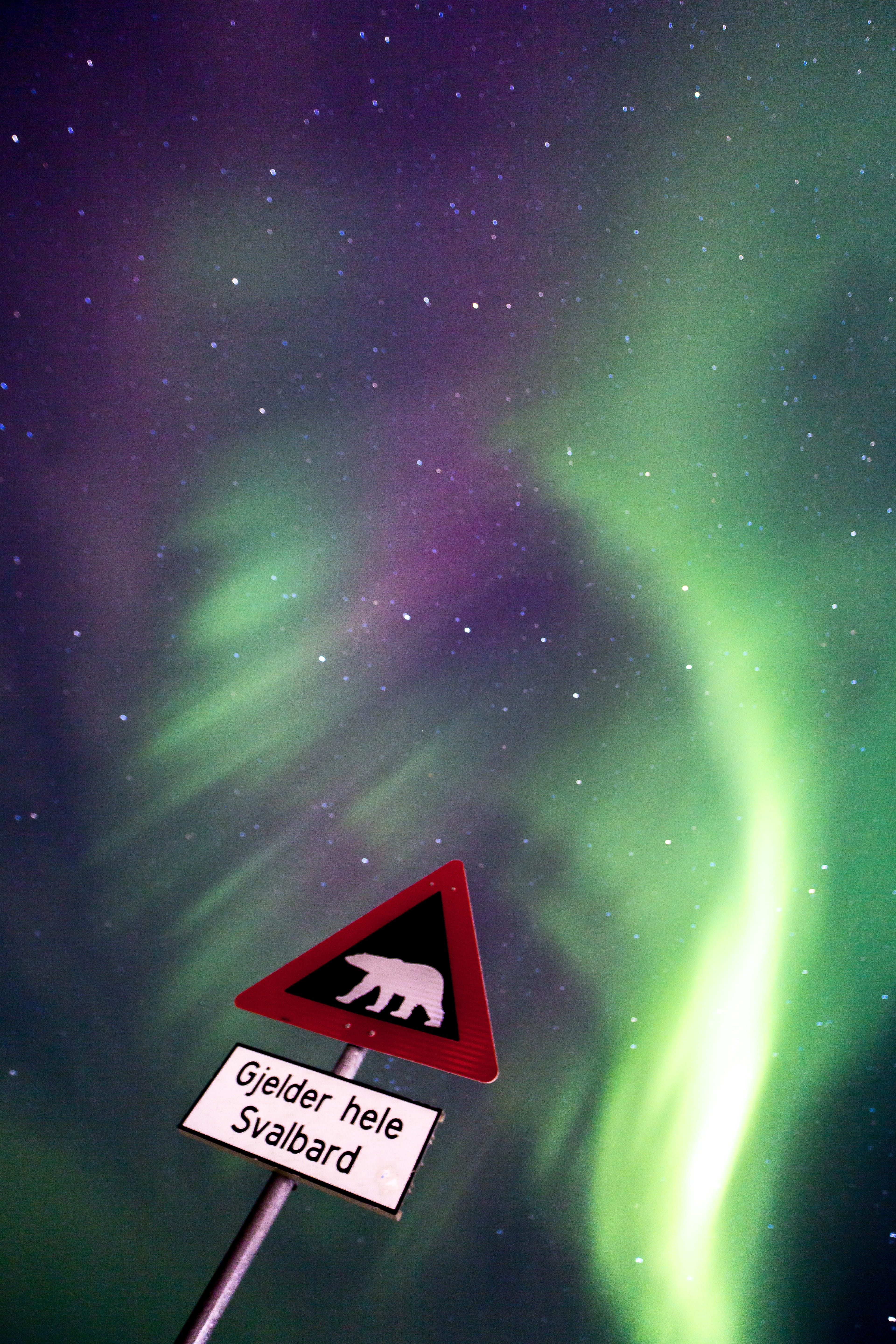 polar lights, magical night, direction, alaska, western script, blue and green starry sky, astronomy, low angle view, northen lights, 5K, star - space, Phone HD Wallpaper
