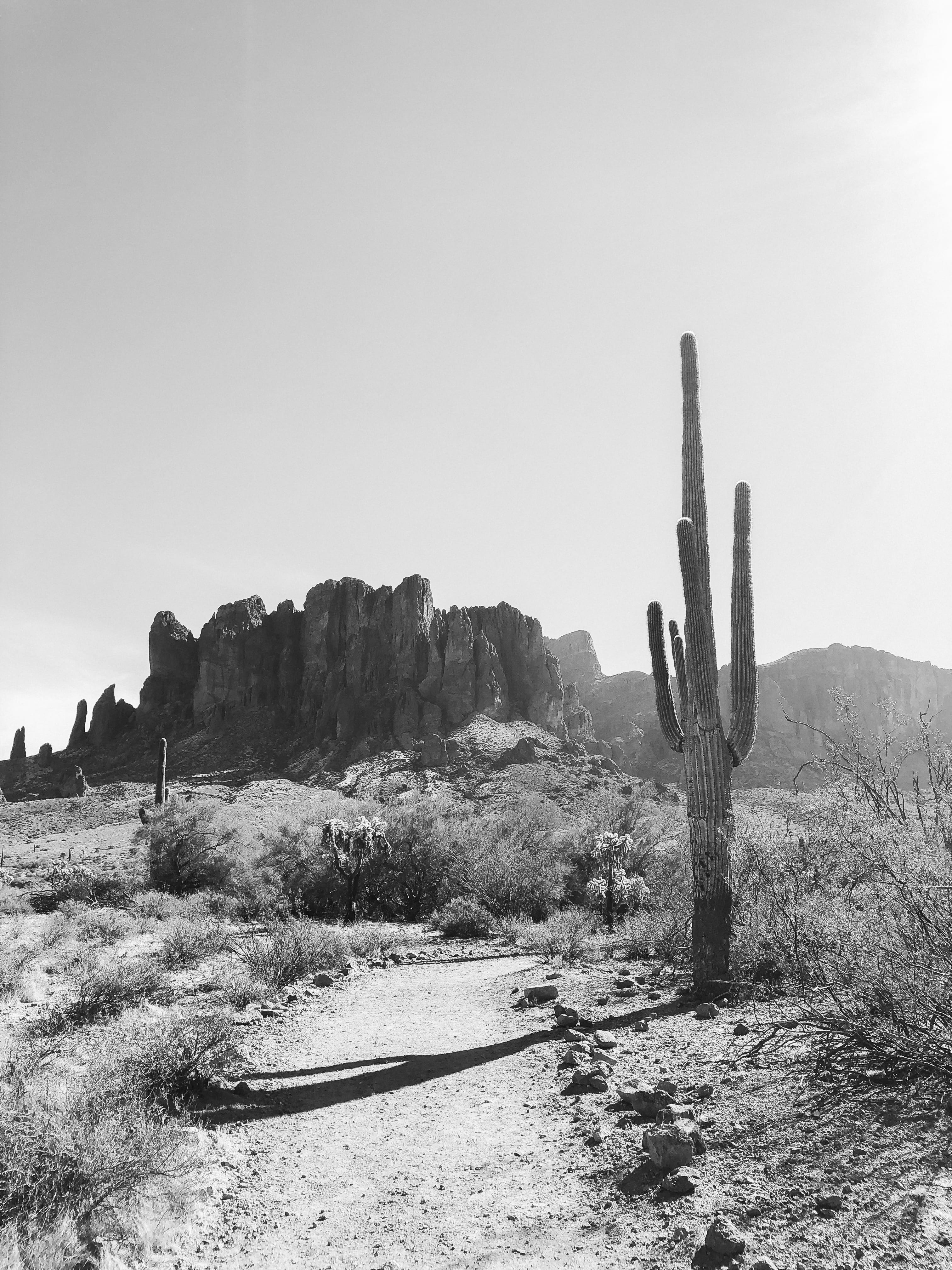 saguaro, scenics - nature, sky, superstition mountains, phoenix, apache junction, environment, arid climate, beauty in nature, nature, land, tranquil scene, Phone HD Wallpaper