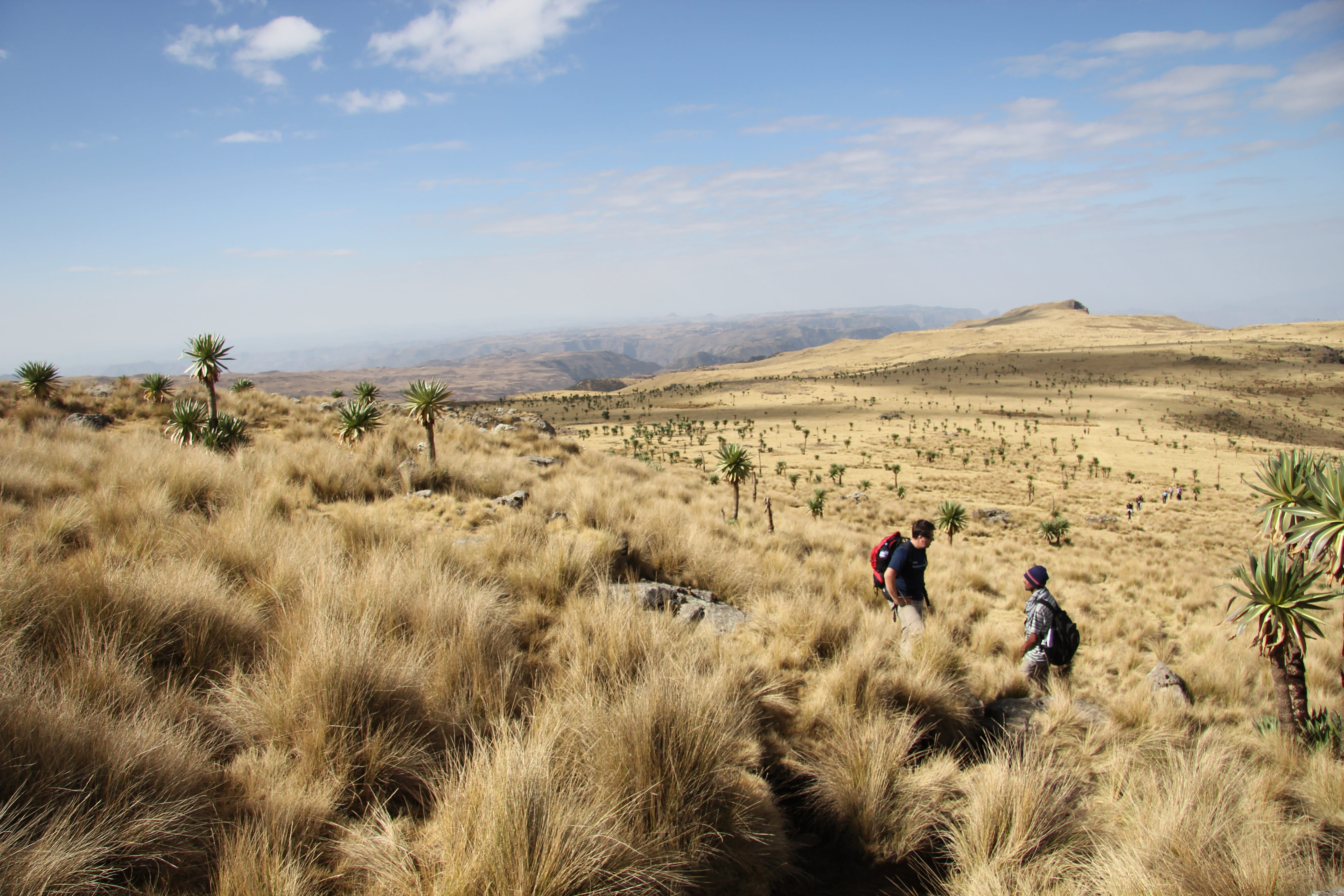real people, Ethiopia, land, scenics, Simian, cholla Cactus, new Mexico, sonoran Desert, non-urban scene, simian national park, men, leisure activity, mountain Biking, HD Wallpaper