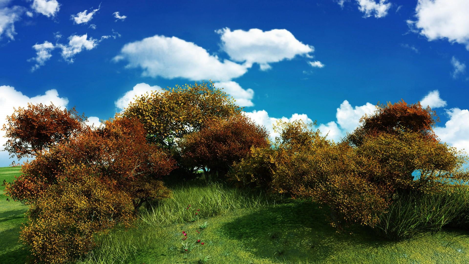 sky, change, scenics - nature, outdoors, daytime, beauty in nature, plant, fluffy clouds, no people, tree, autumn, tranquility, day, growth, hillside, green color, HD Wallpaper