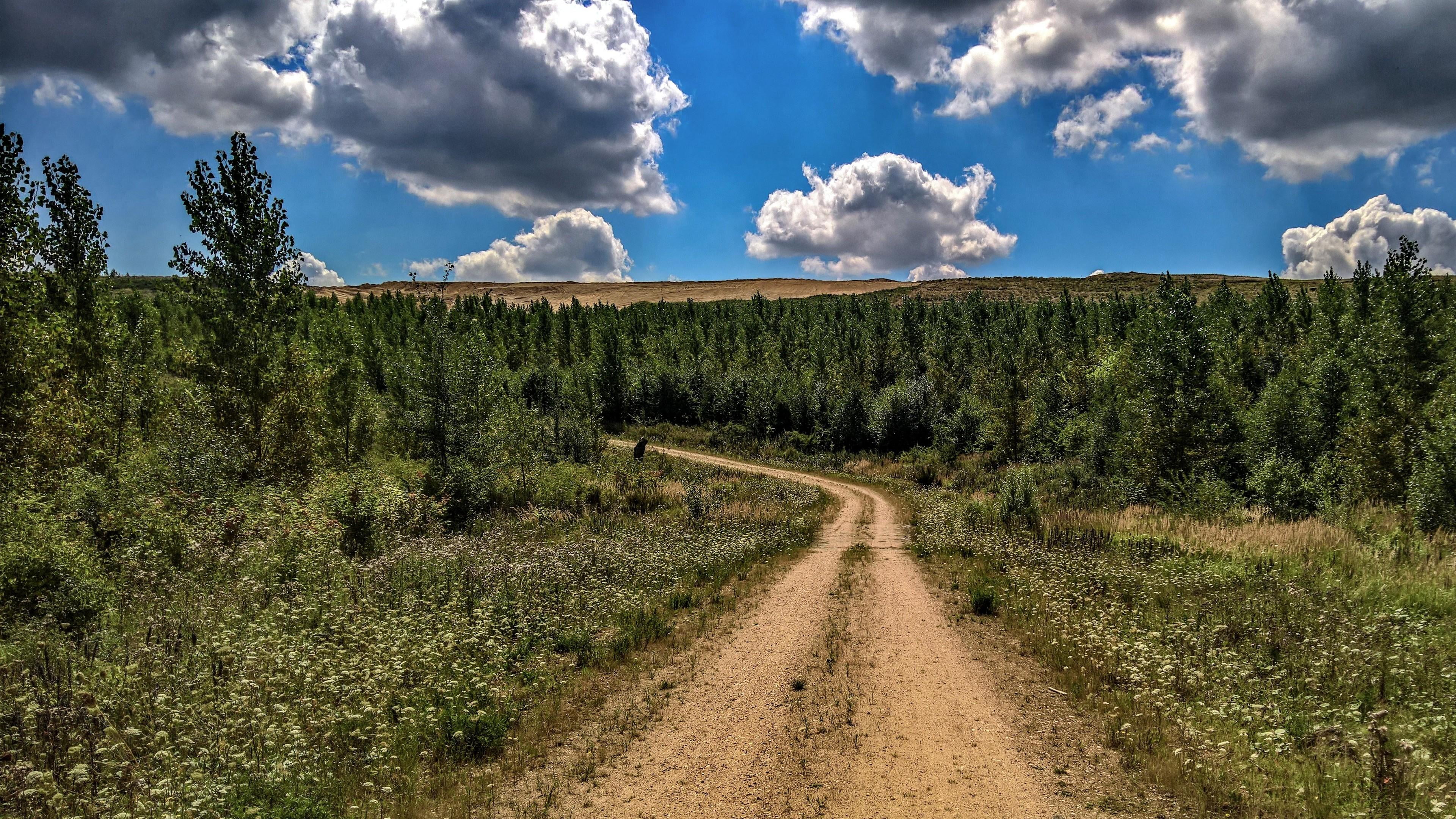 wilderness, path, 4K, forest, dirt road, tranquil scene, cloud, road, beauty in nature, tranquility, nature, outdoors, sky, direction, no people, plant, HD Wallpaper
