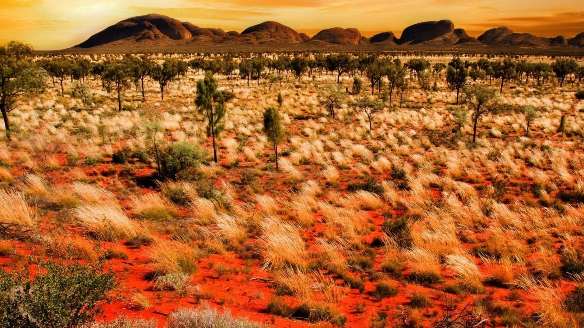 geology, travel destinations, no people, rock - object, sky, semi-arid, national park, landscape, tranquility, environment, kata tjuta, travel, desert, HD Wallpaper