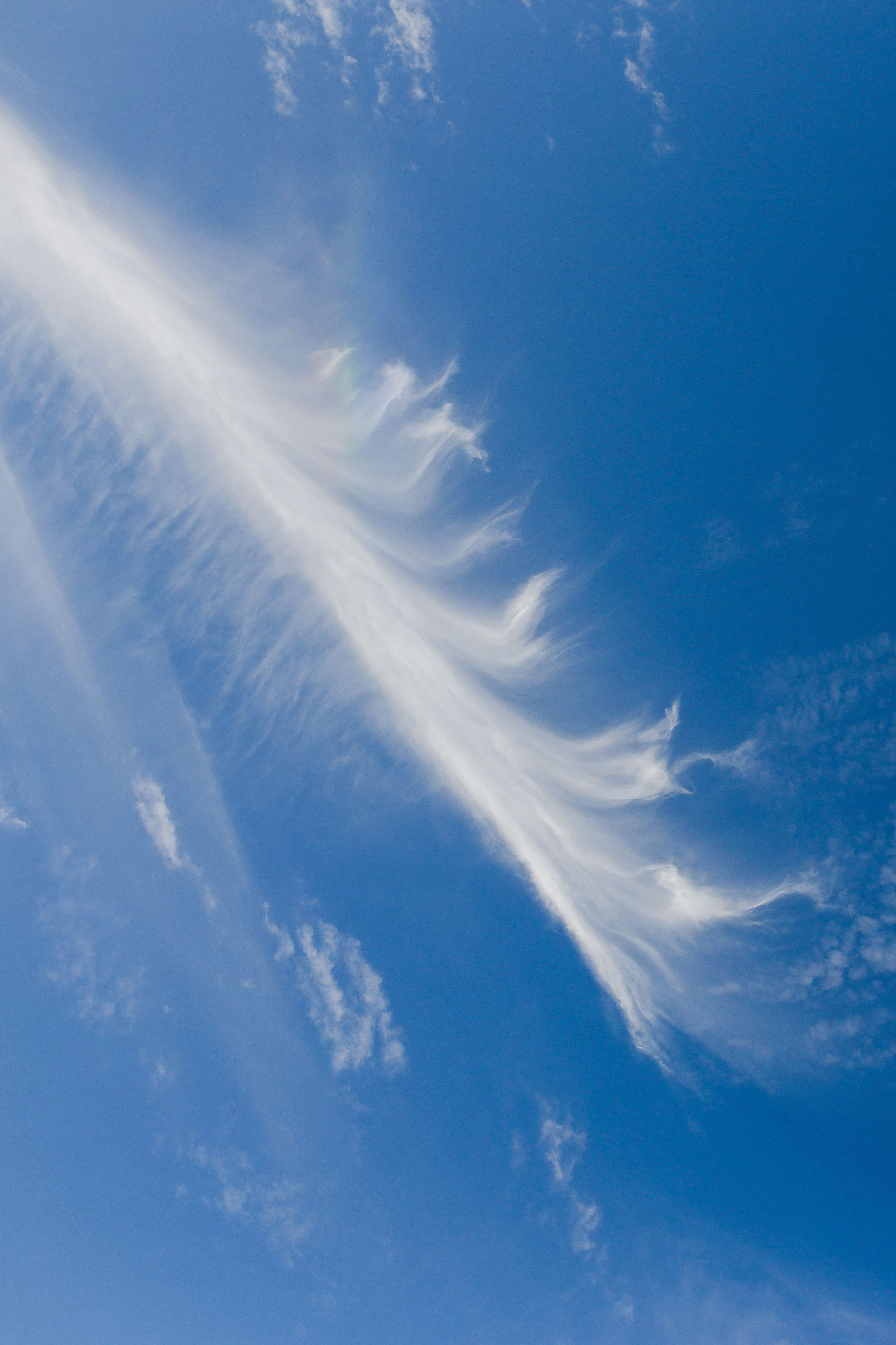 wispy, day, low angle view, outdoors, tranquility, fluffy, no people, clear, air, heaven, blue, Cloudy, nature, beauty in nature, cloud, 2K, backgrounds, Phone HD Wallpaper