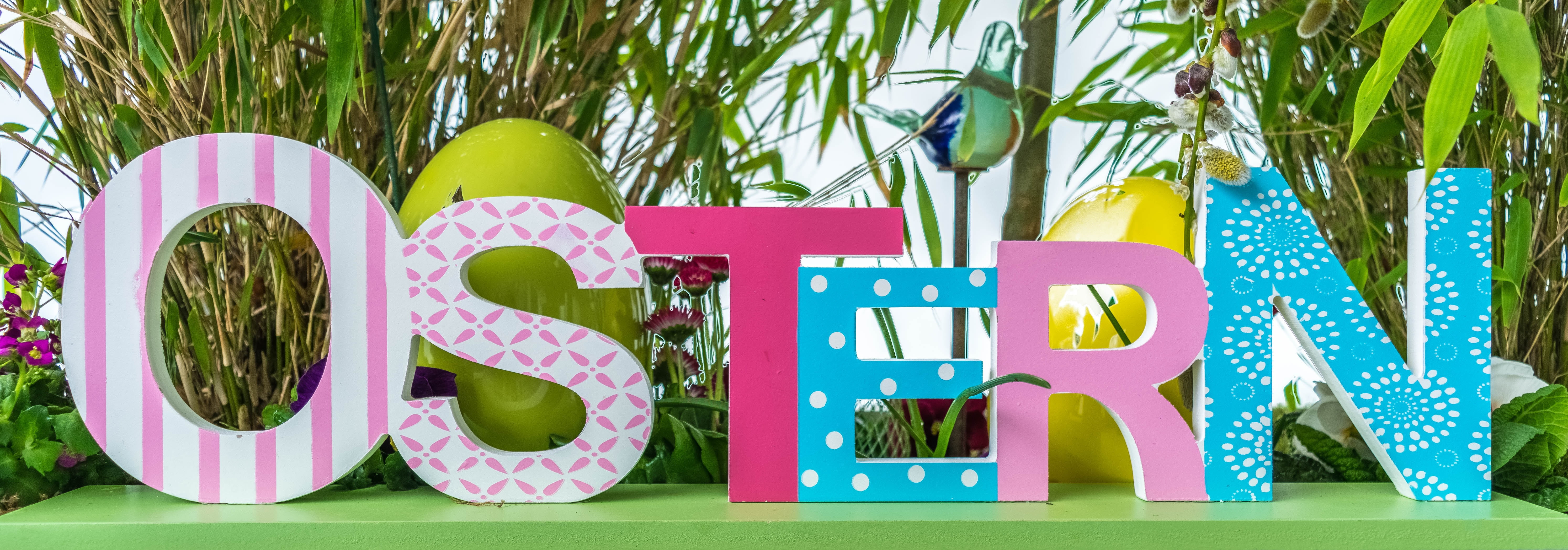 plant, fun, no people, flowering plant, good friday, summer, inflatable, growth, nature, easter egg, text, standee, green color, close, communication, day, HD Wallpaper