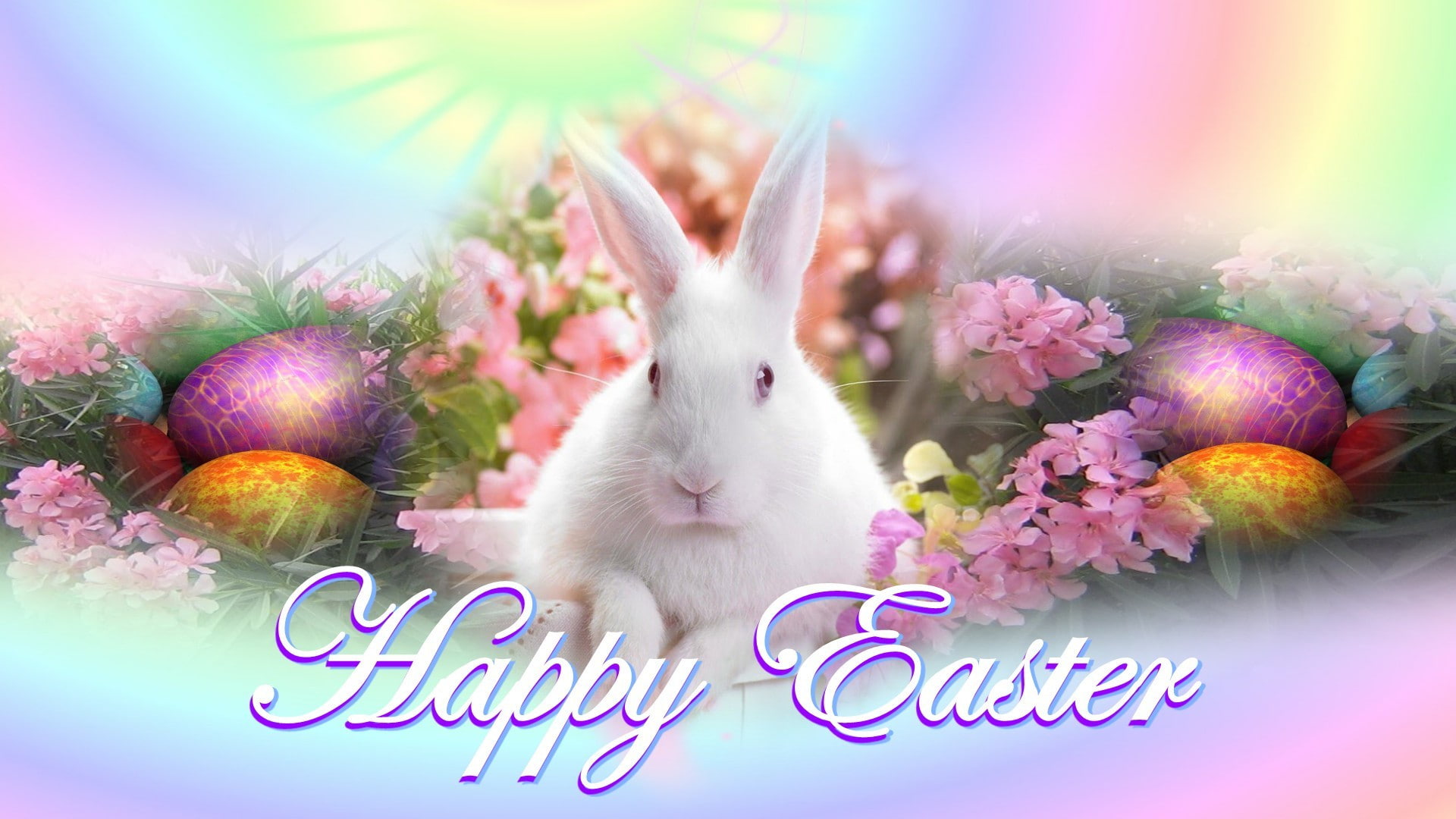 bunny, Egg, rabbit, 1920x1080, holidays, holiday, Easter, 1080P, hd, Good friday, HD Wallpaper