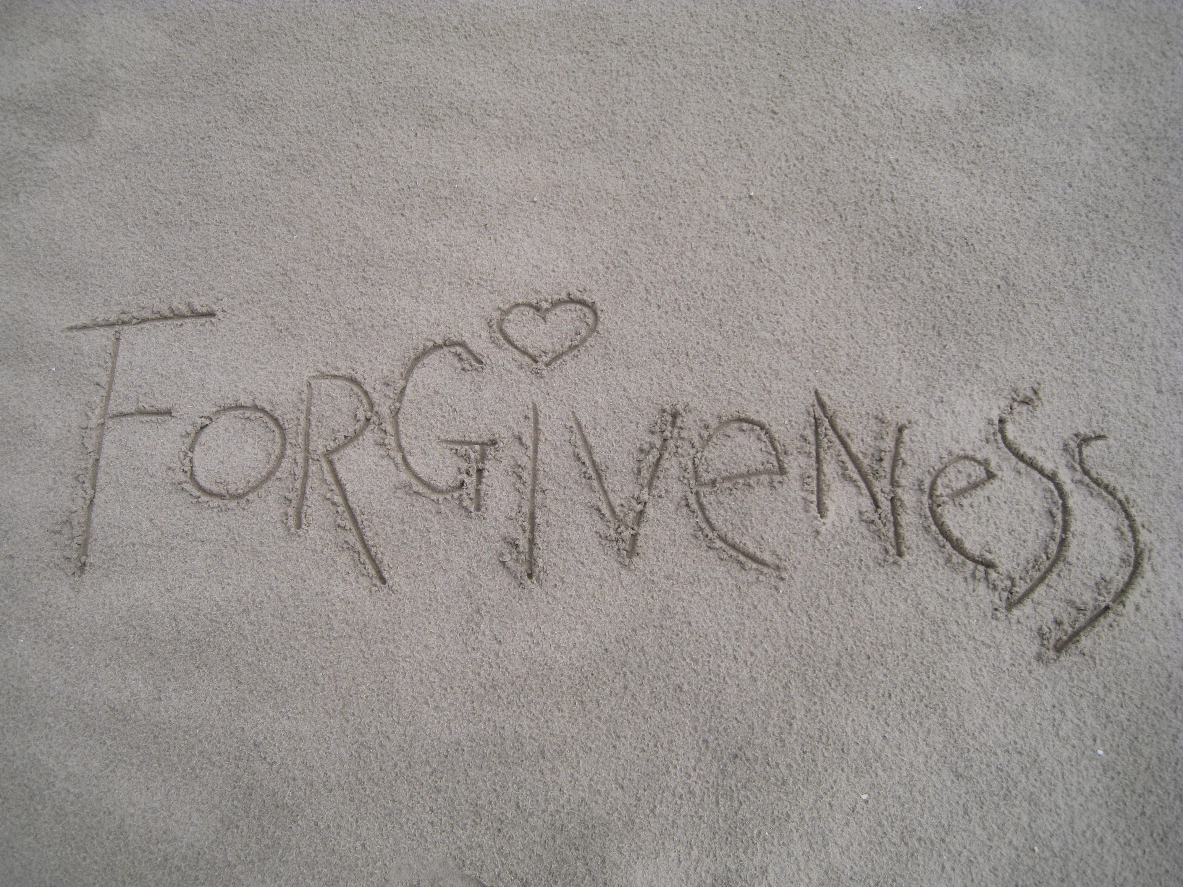 emotion, forgiveness, write, message, day, single word, handwriting, land, photo, high angle view, text, nature, summer, send, communication, western script, HD Wallpaper