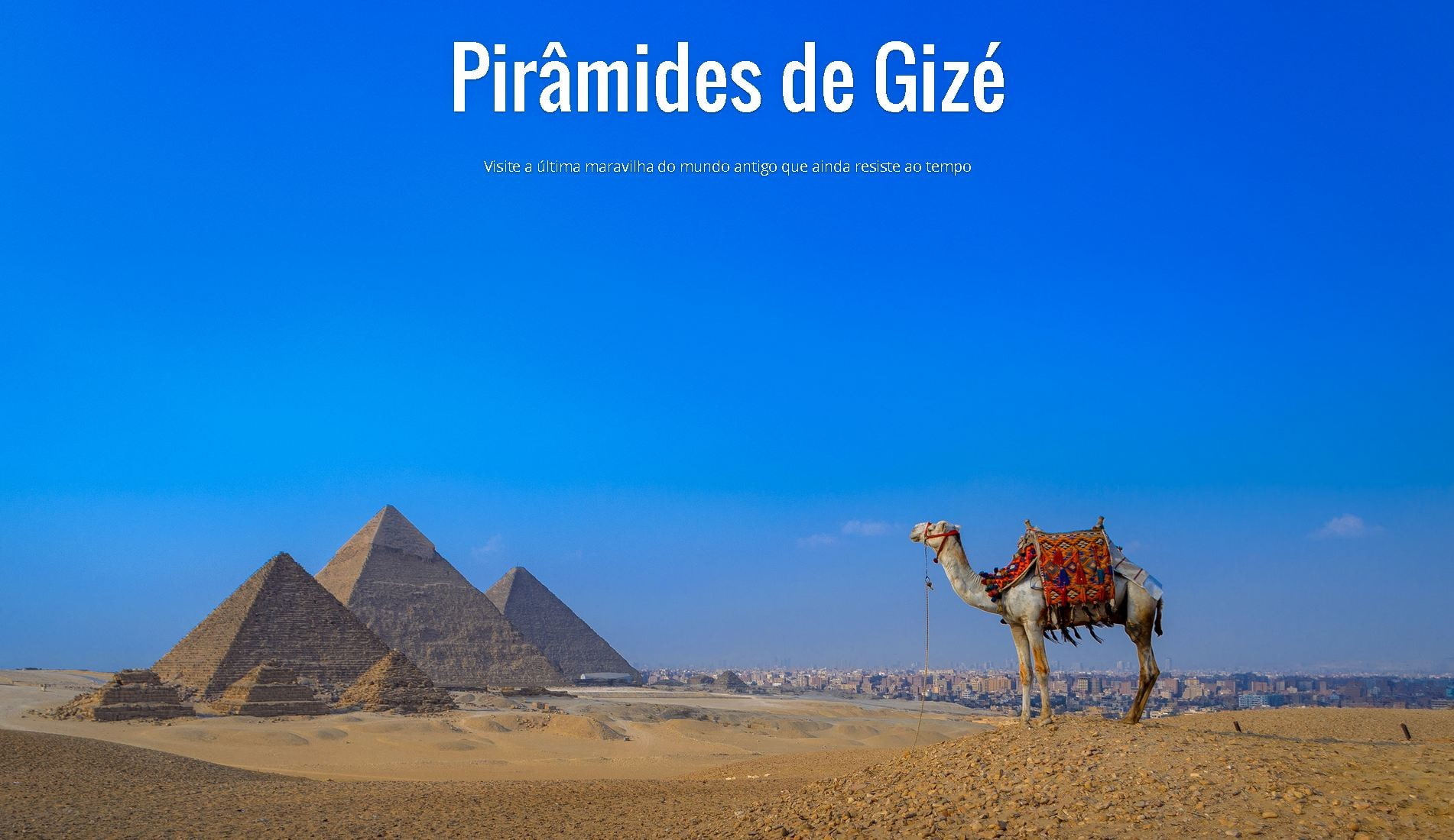 history, climate, arid climate, land, travel, environment, riding, camel, pyramid, Gize, architecture, animal themes, ancient, no people, the past, outdoors, HD Wallpaper