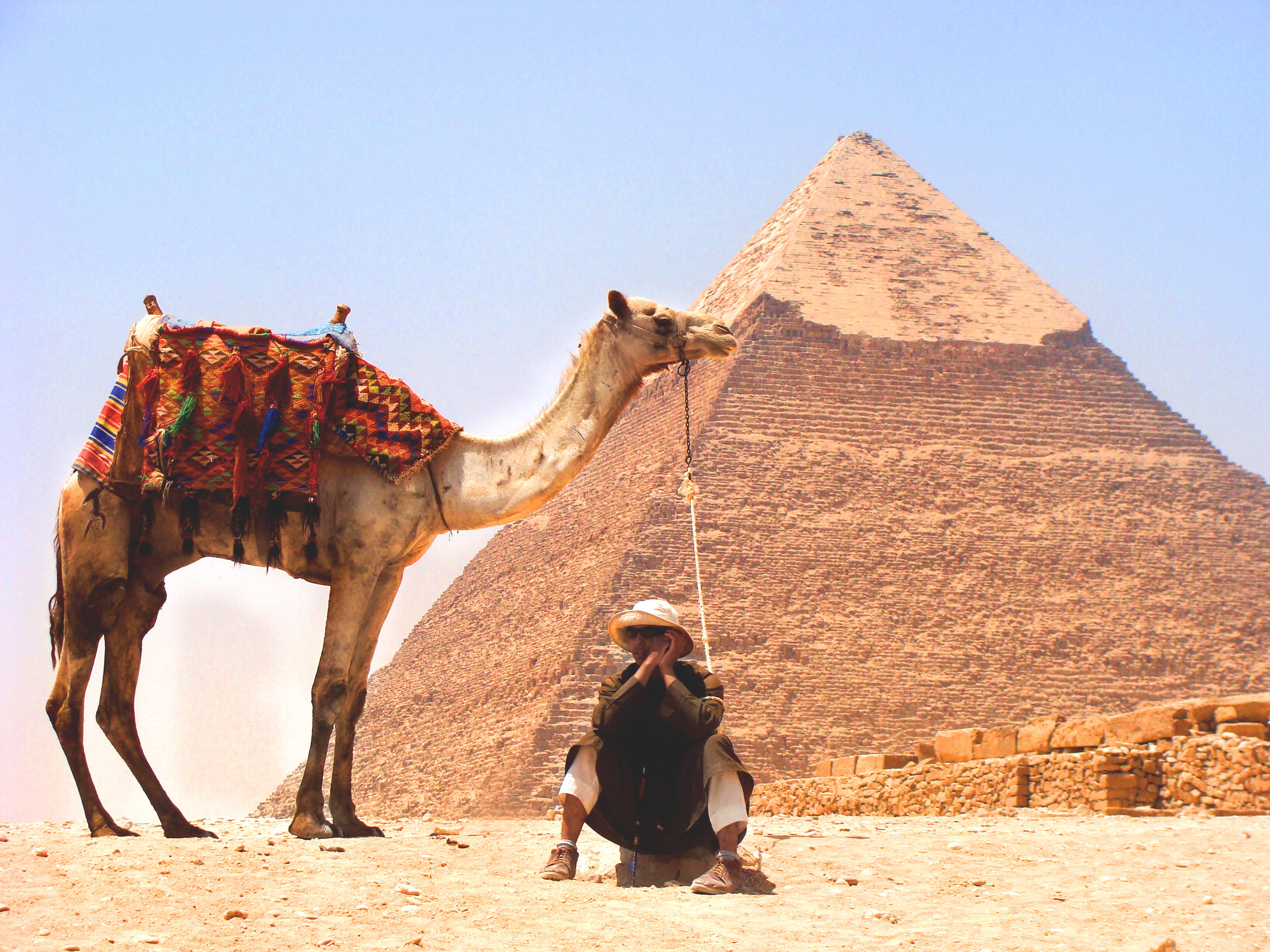 rear view, animal, adult, mammal, hat, herbivorous, pyramid, people, 2K, ancient, rock, history, stone, outdoors, archaeology, brown, saddle, travel destinations, HD Wallpaper