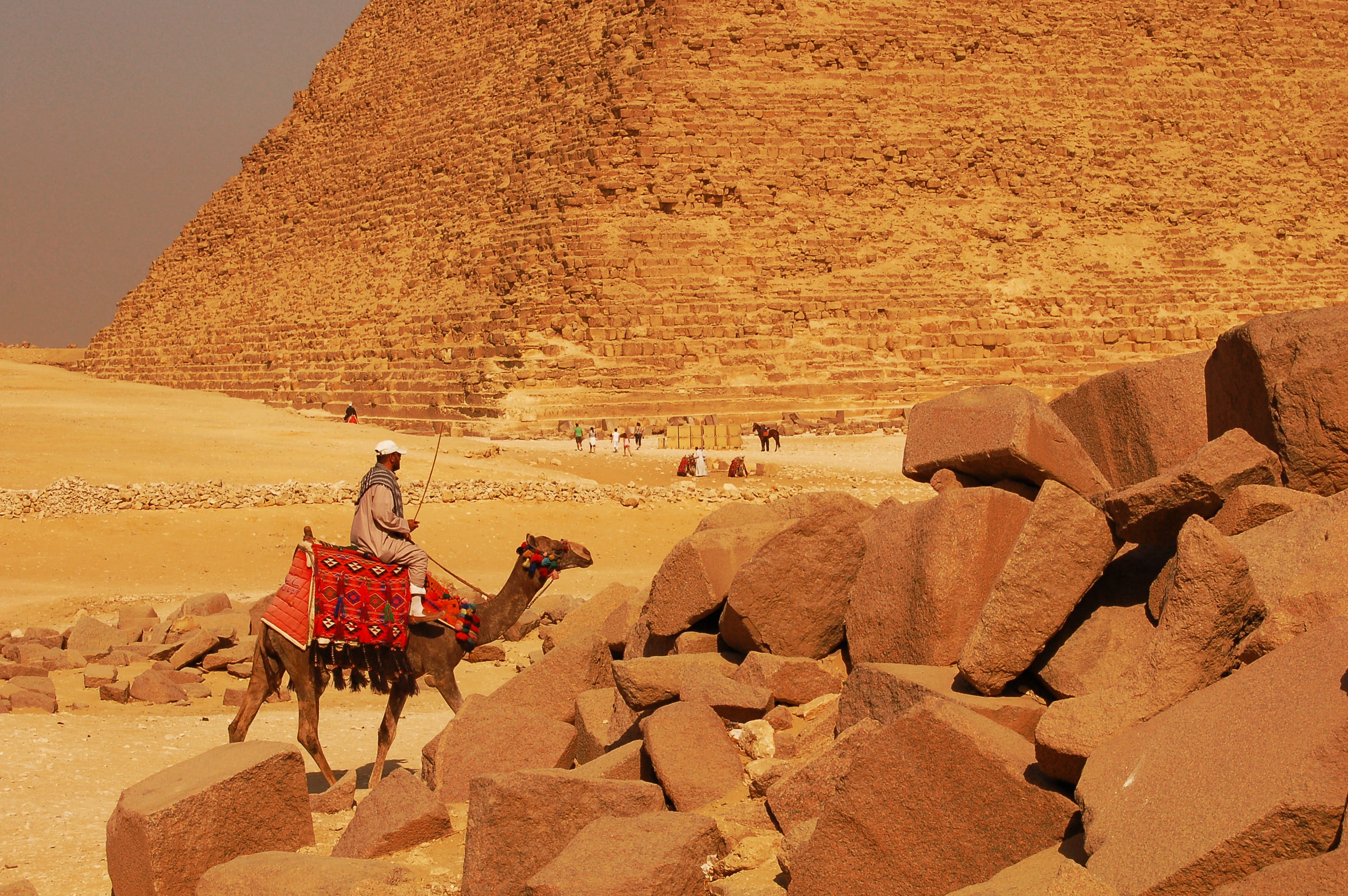 historical, sitting, ancient civilization, the past, domestic, working animal, architecture, day, Egypt, nature, sand, adults only, riding, camel, travel, HD Wallpaper