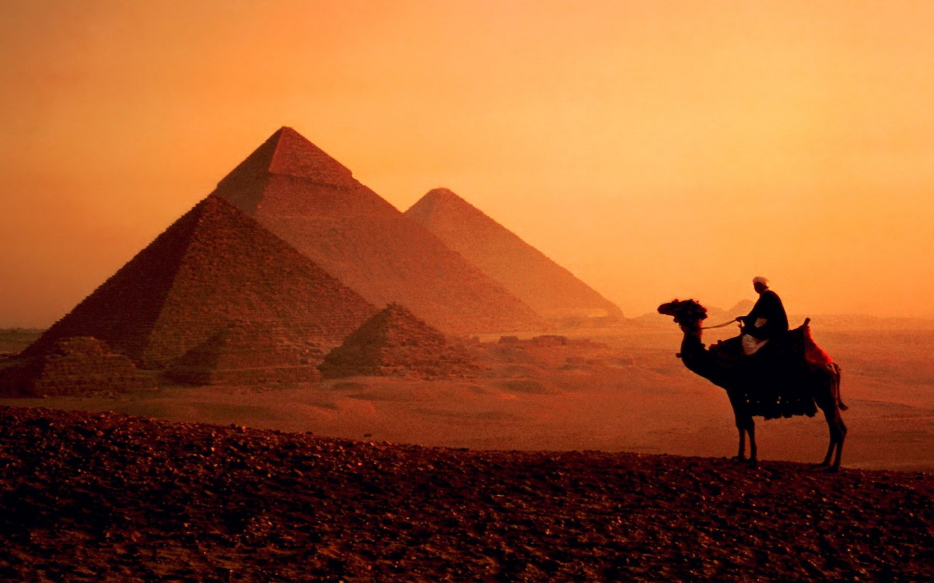 ride, ancient civilization, mammal, outdoors, working animal, architecture, herbivorous, sunset, riding, pyramid, history, animal, archaeology, 1080P, HD Wallpaper