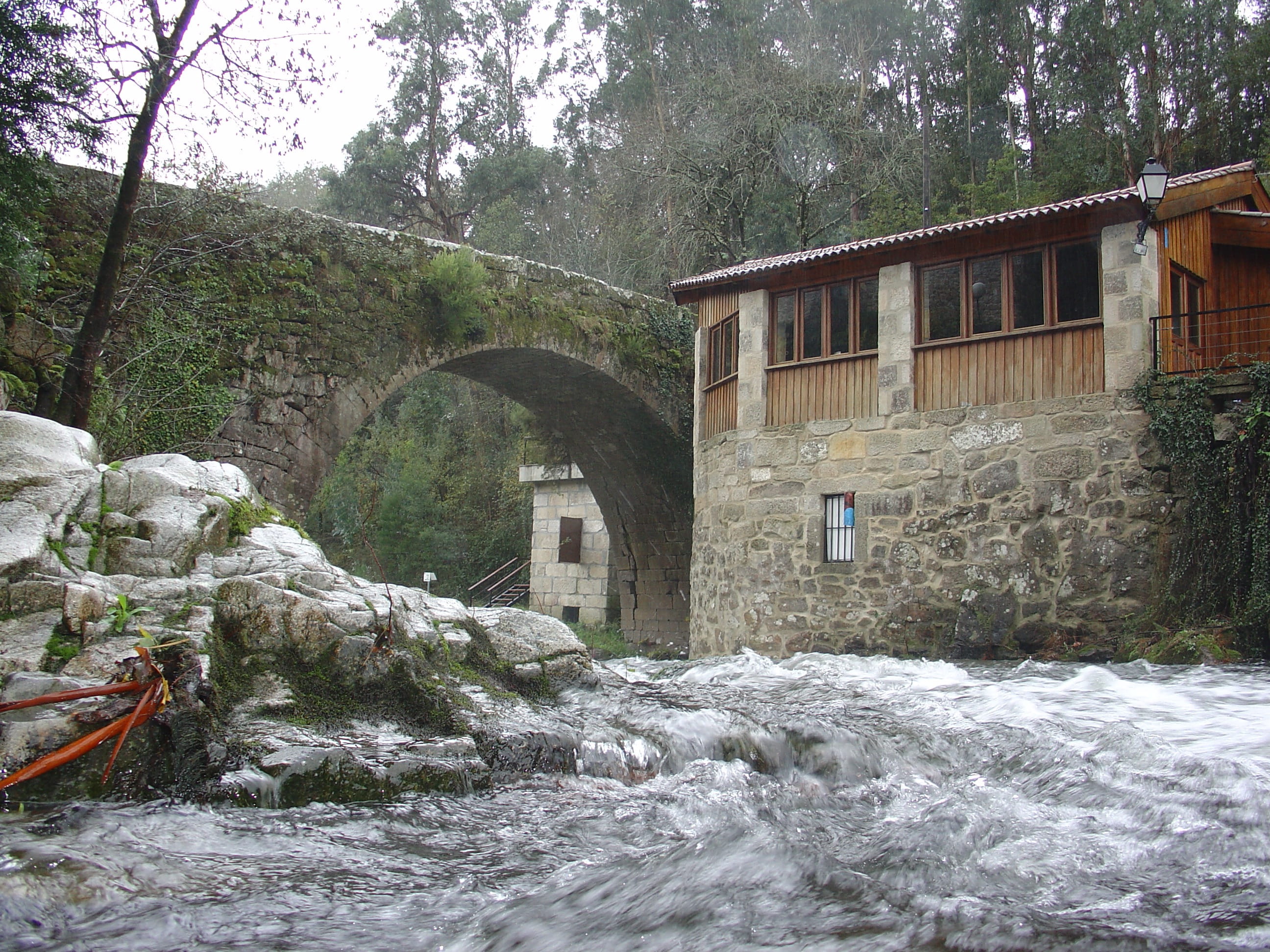 plant, Arbo, tree, water, motion, rock, built structure, Galicia, construction, no people, waterfront, Spain, outdoors, architecture, civil works, water mill, HD Wallpaper