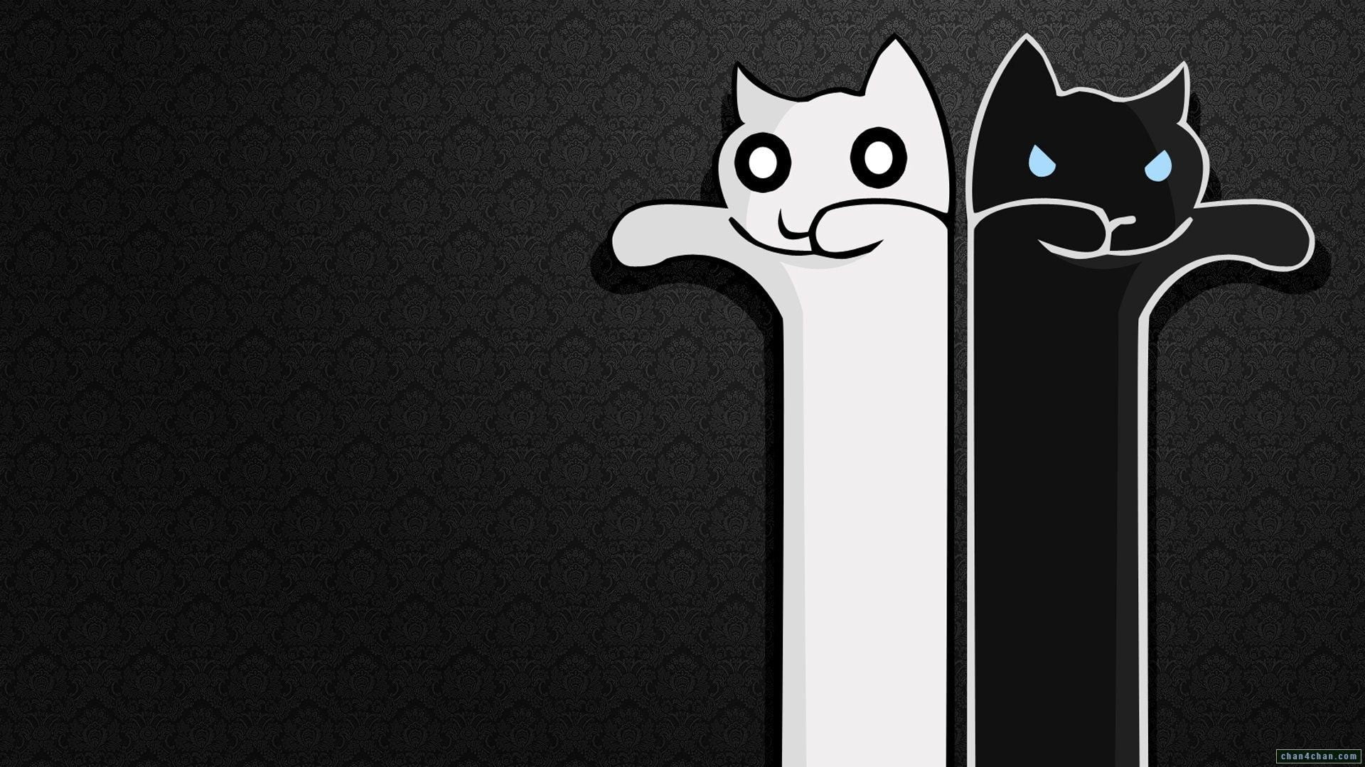 animal representation, creativity, cats, white, animal, design, pattern, minimalism, black background, illustration, no people, indoors, domestic animals, HD Wallpaper