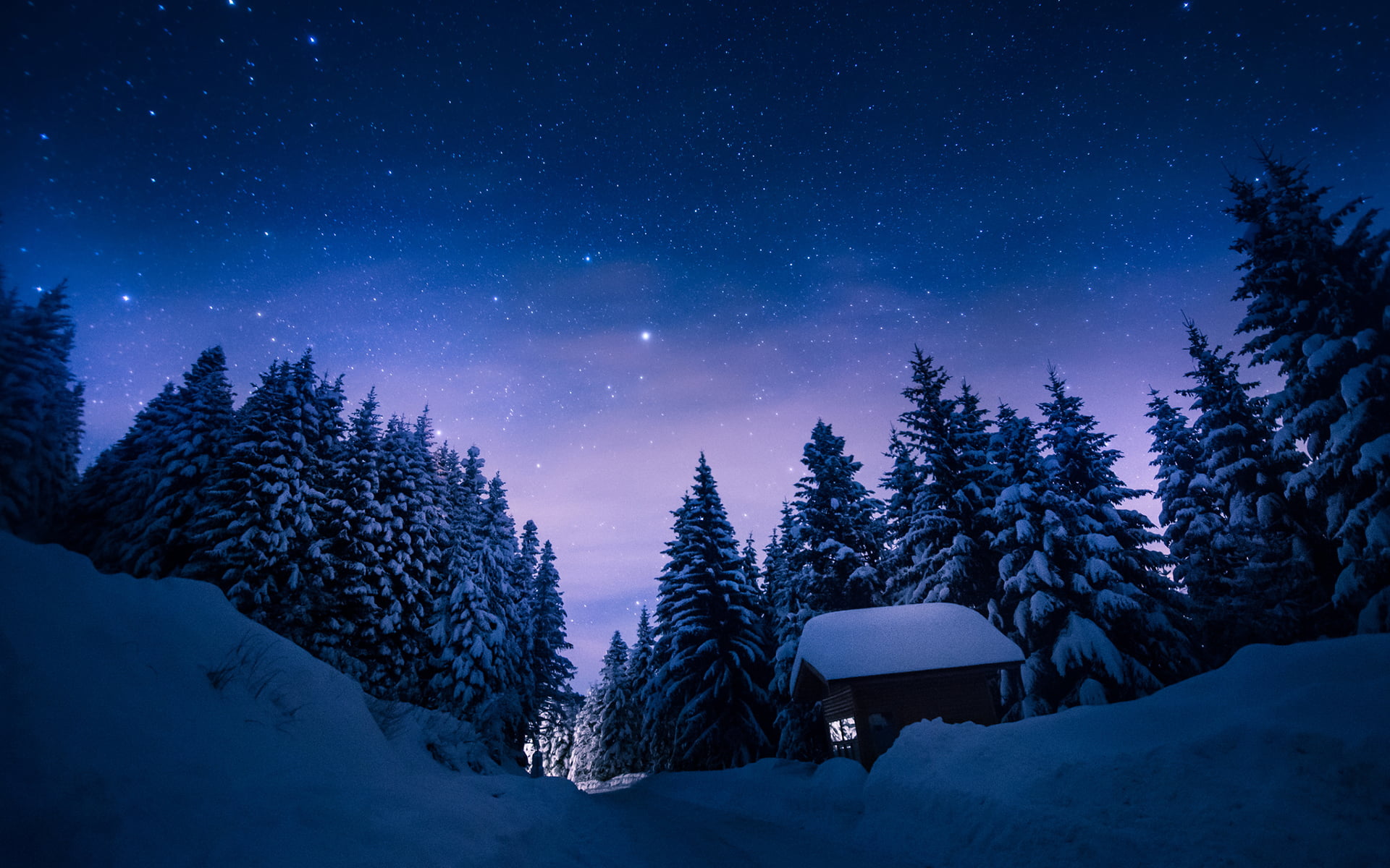 forest, no people, space, covering, 1080P, tranquil scene, pine tree, star - space, path, trees, non-urban scene, winter, cabin, snow, astronomy, stars, HD Wallpaper