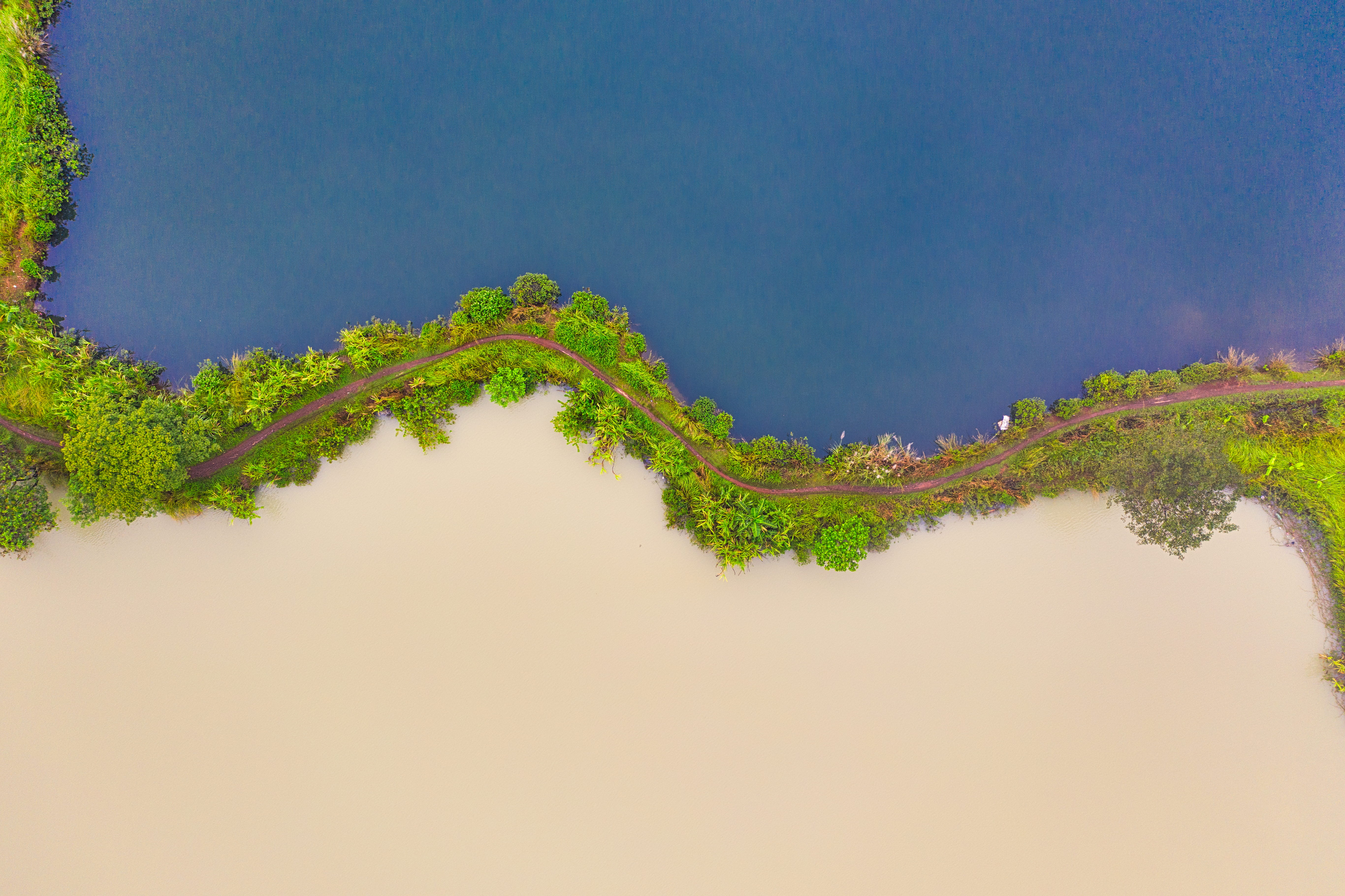 daylight, aerial shot, margin, sky, forest, copy space, geography, photography, seashore, scenic, near, color, tranquility, growth, sand, road, day, land, HD Wallpaper