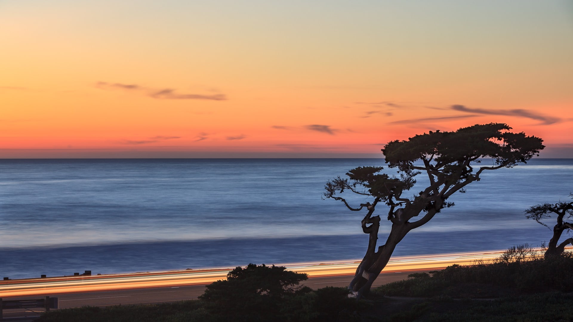 plant, silhouette, tree, scenics - nature, sky, table, 1080P, orange color, idyllic, black, romantic sky, horizon over water, sunset, long exposure, minimalism, HD Wallpaper