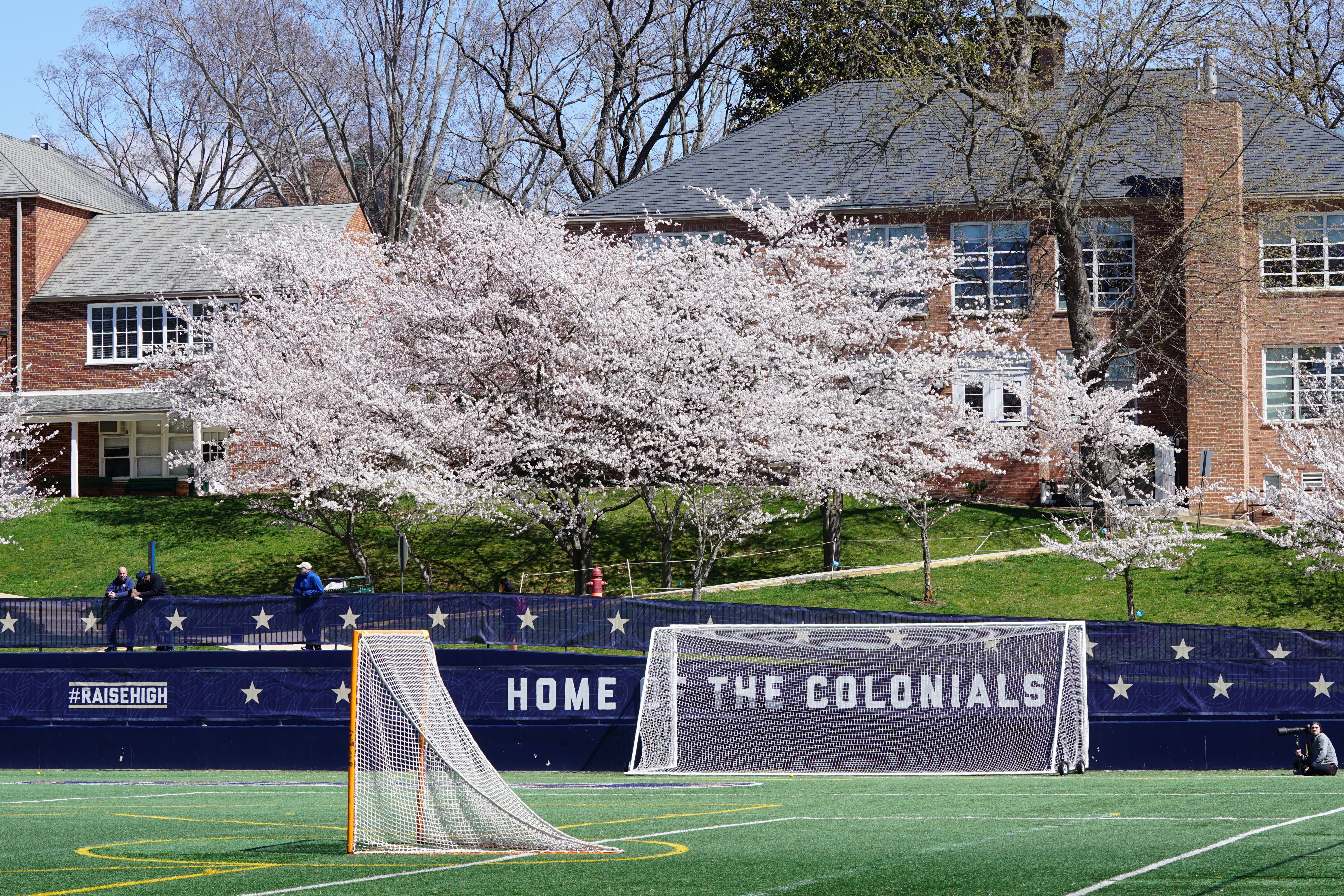 built structure, team sport, white, building exterior, people, human, yellow, cherry tree, blossom, day, stadium, sports, park - man made space, text, flower, HD Wallpaper