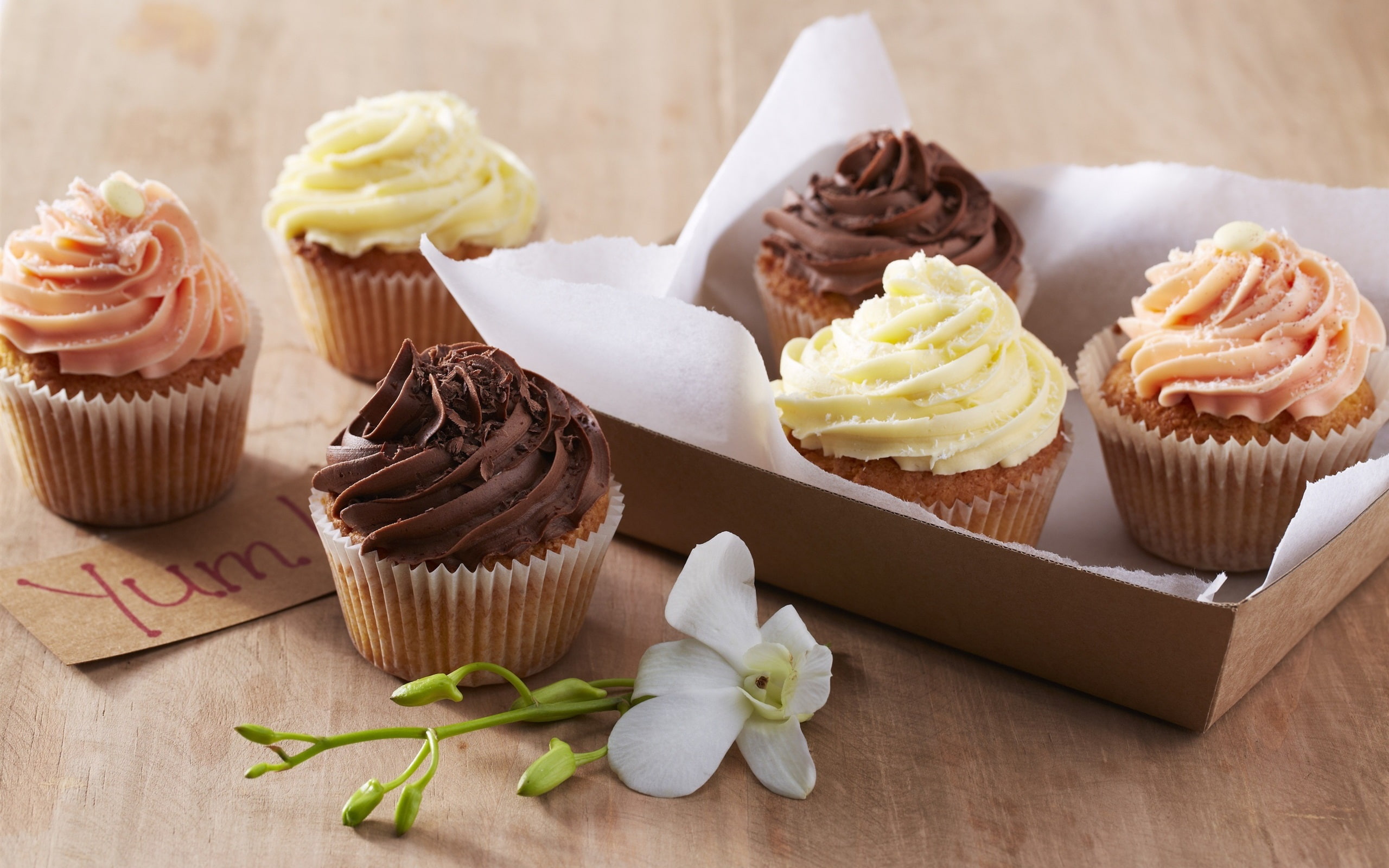 Cupcakes, Cakes, 2K, Flower, Chocolate, Cream, Sweet, Dessert, HD Wallpaper