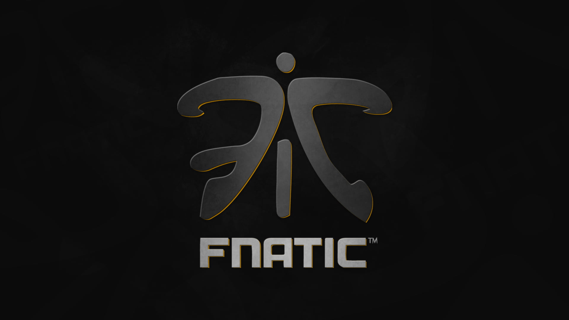 Gaming Team, Video Game, 1080P, Esports, Fnatic, HD Wallpaper