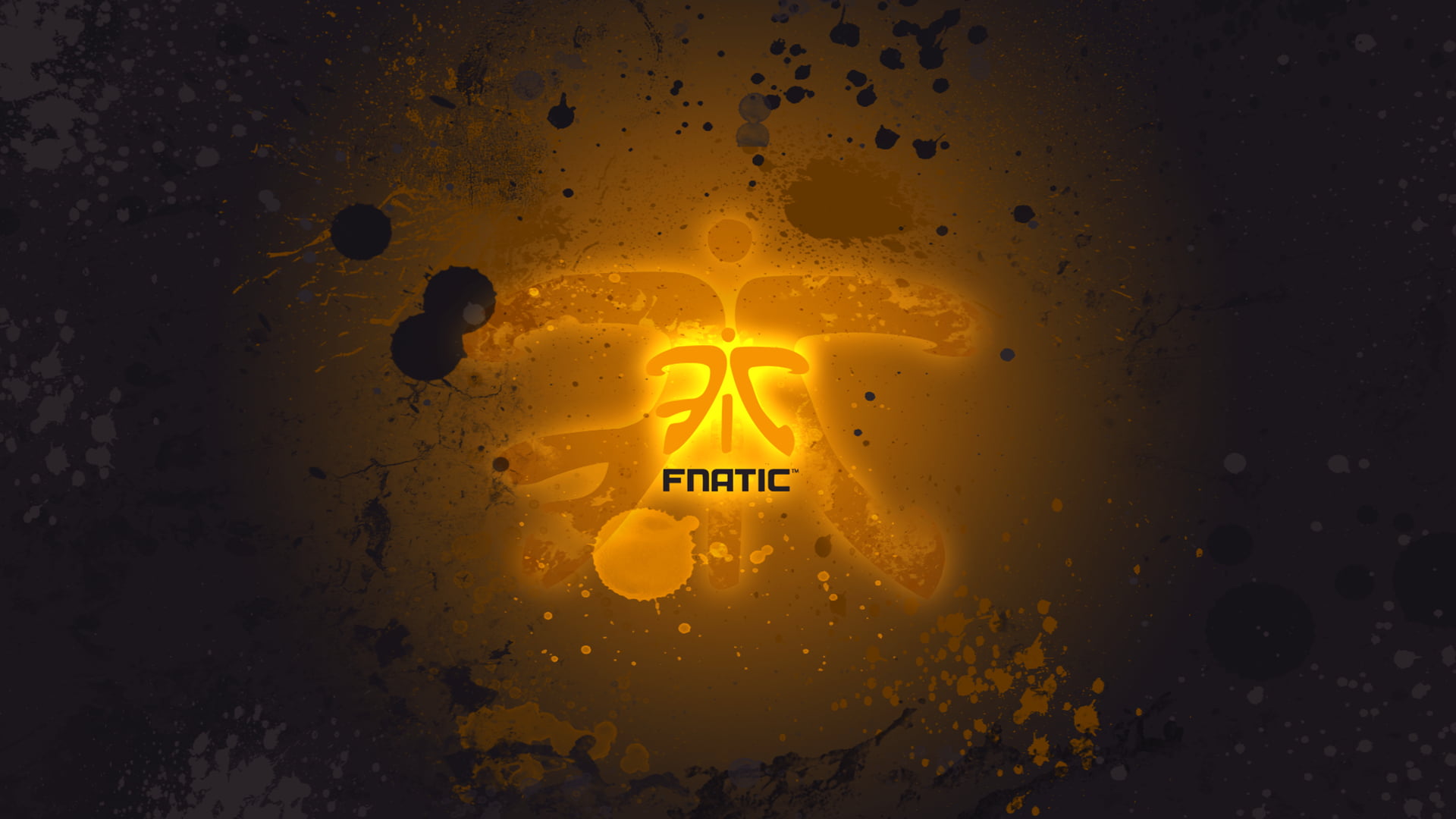 Esports, 1080P, Fnatic, Gaming Team, Video Game, HD Wallpaper