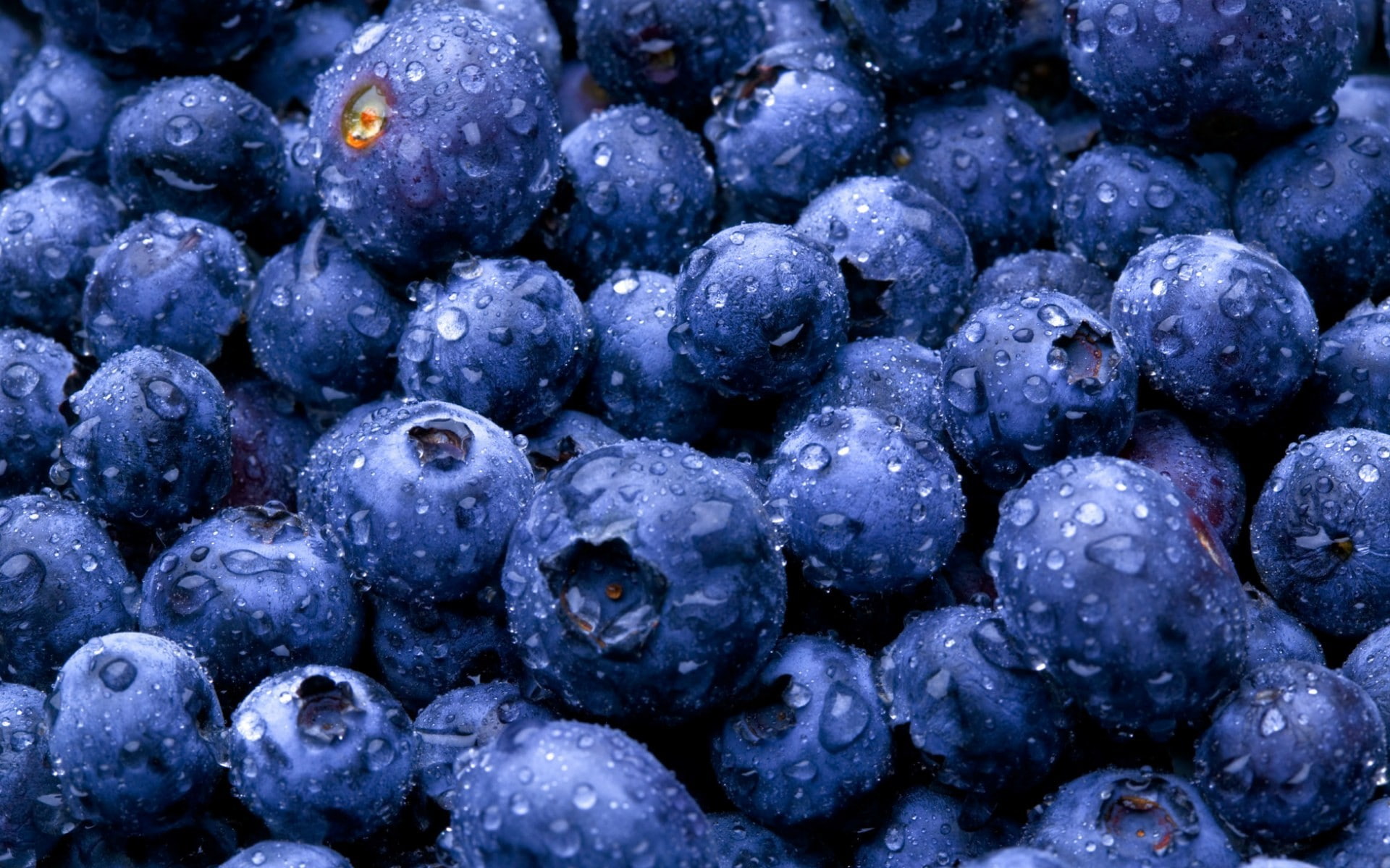 wet, fruit, blueberries, food, 1080P, macro, HD Wallpaper