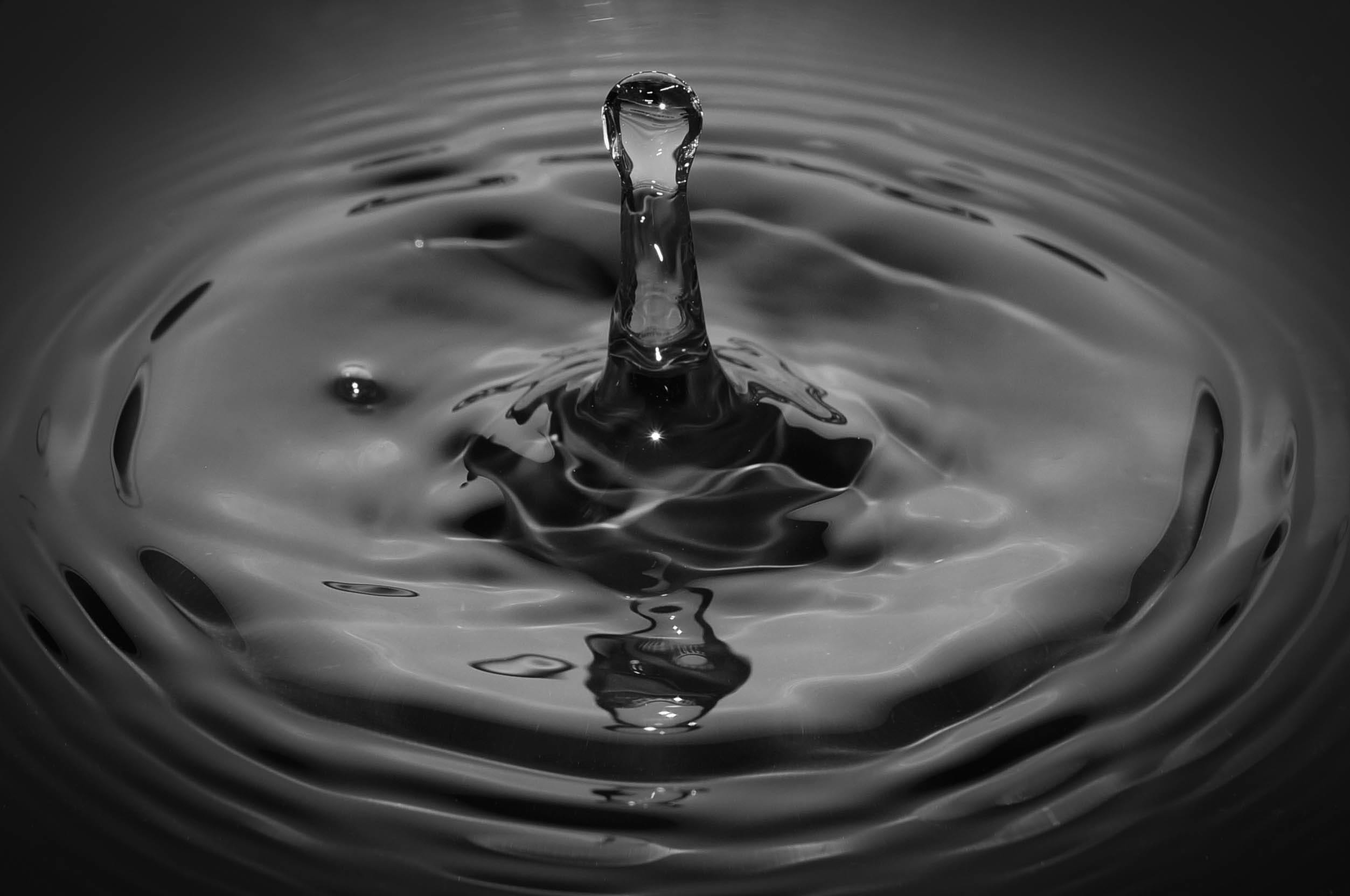 geometric shape, circle, liquid, clear, water, high-speed photography, purity, ripple, no people, rippled, droplet, freshness, black-and-white, splashing, HD Wallpaper