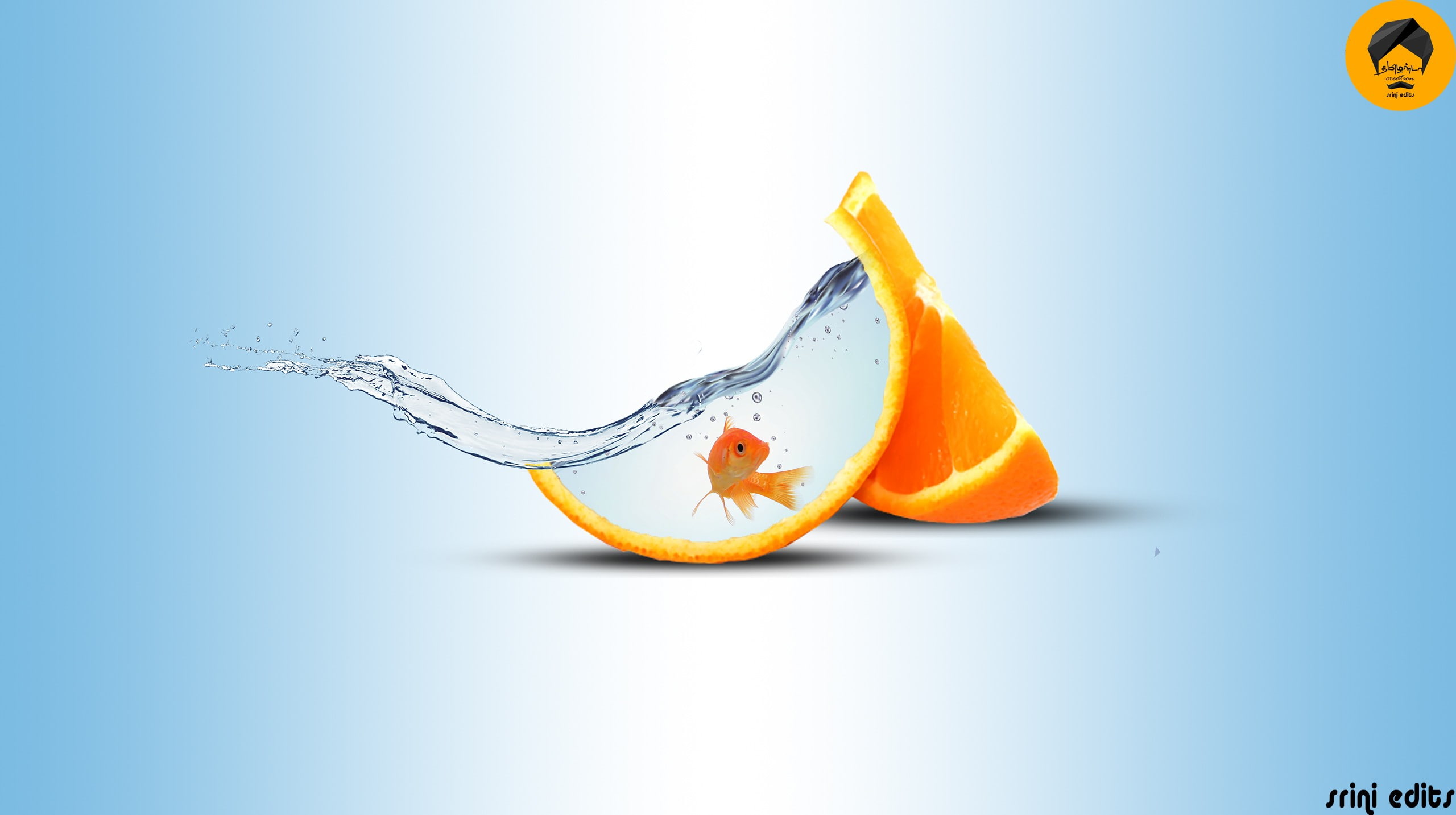 copy space, colored background, orange color, food, citrus fruit, high-speed photography, healthy eating, food and drink, fish, wellbeing, 2K, single object, HD Wallpaper
