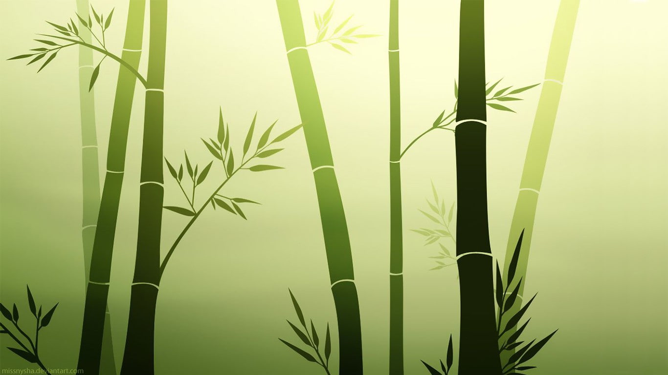 bamboo - plant, leaves, sunlight, plant stem, close-up, beauty in nature, 720P, no people, herb, plant part, nature, growth, green color, leaf, plant, HD Wallpaper