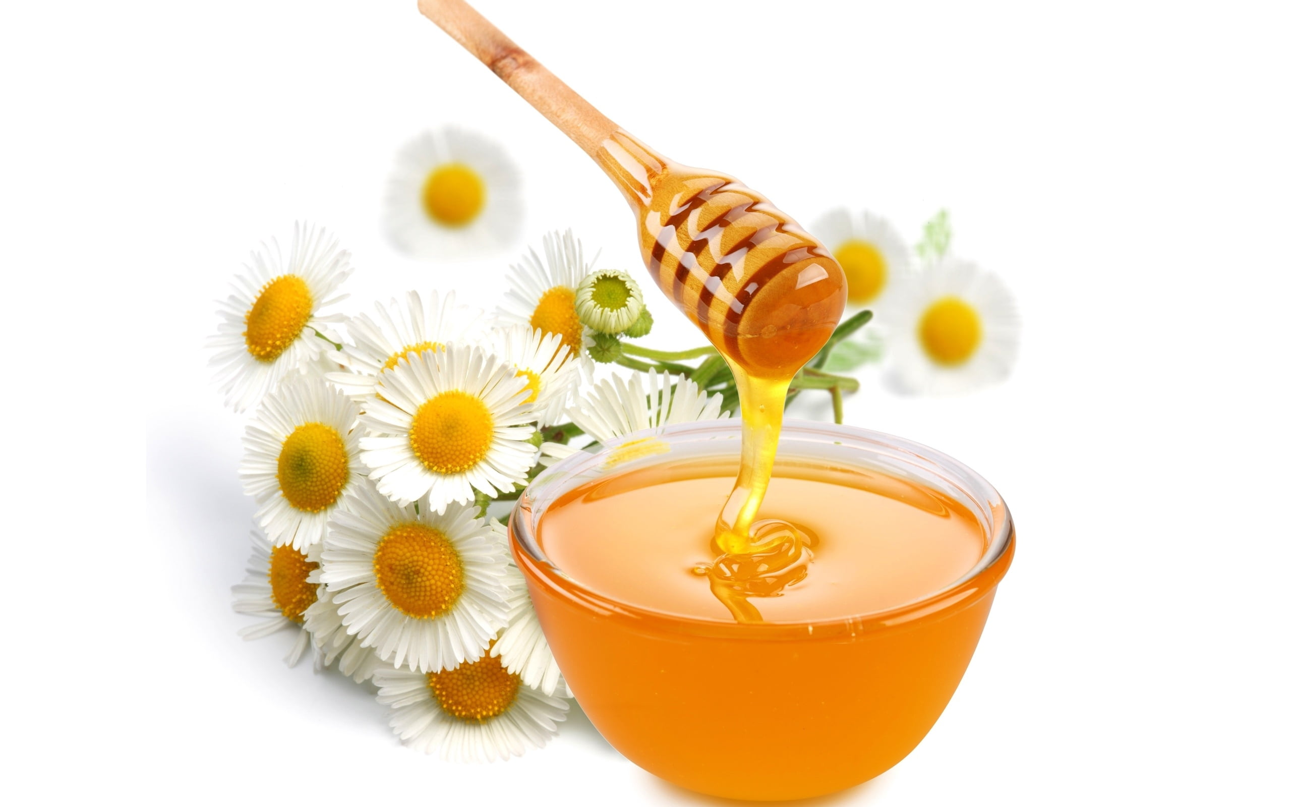 wellbeing, refreshment, organic, 2K, freshness, indoors, daisies, nature, close-up, honey, no people, jar, liquid, orange Color, still life, breakfast, HD Wallpaper