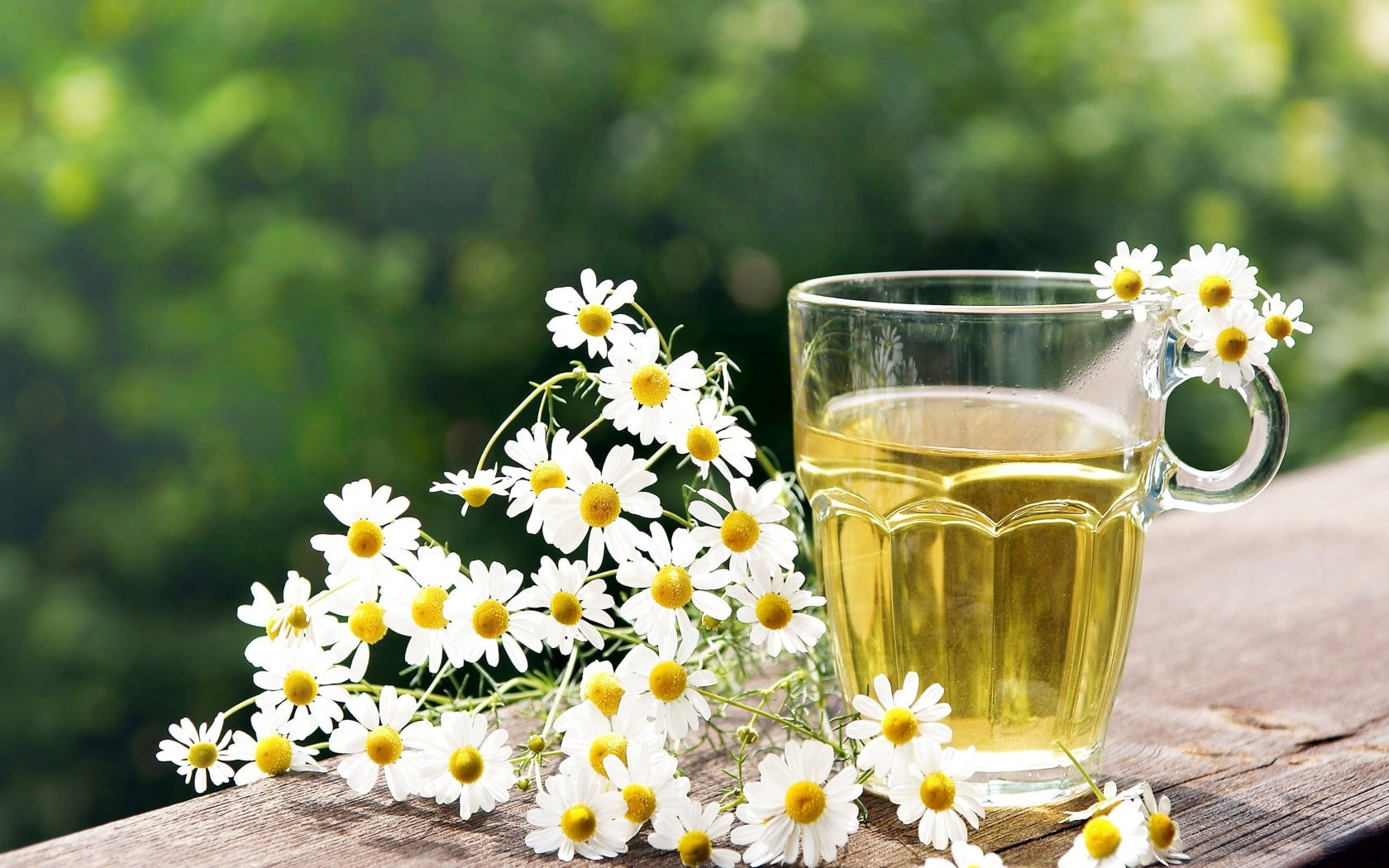 day, plant, petal, yellow, backgrounds, tea, flowering plant, flower, springtime, glass, table, hot drink, leaf, outdoors, food and drink, flower Head, HD Wallpaper